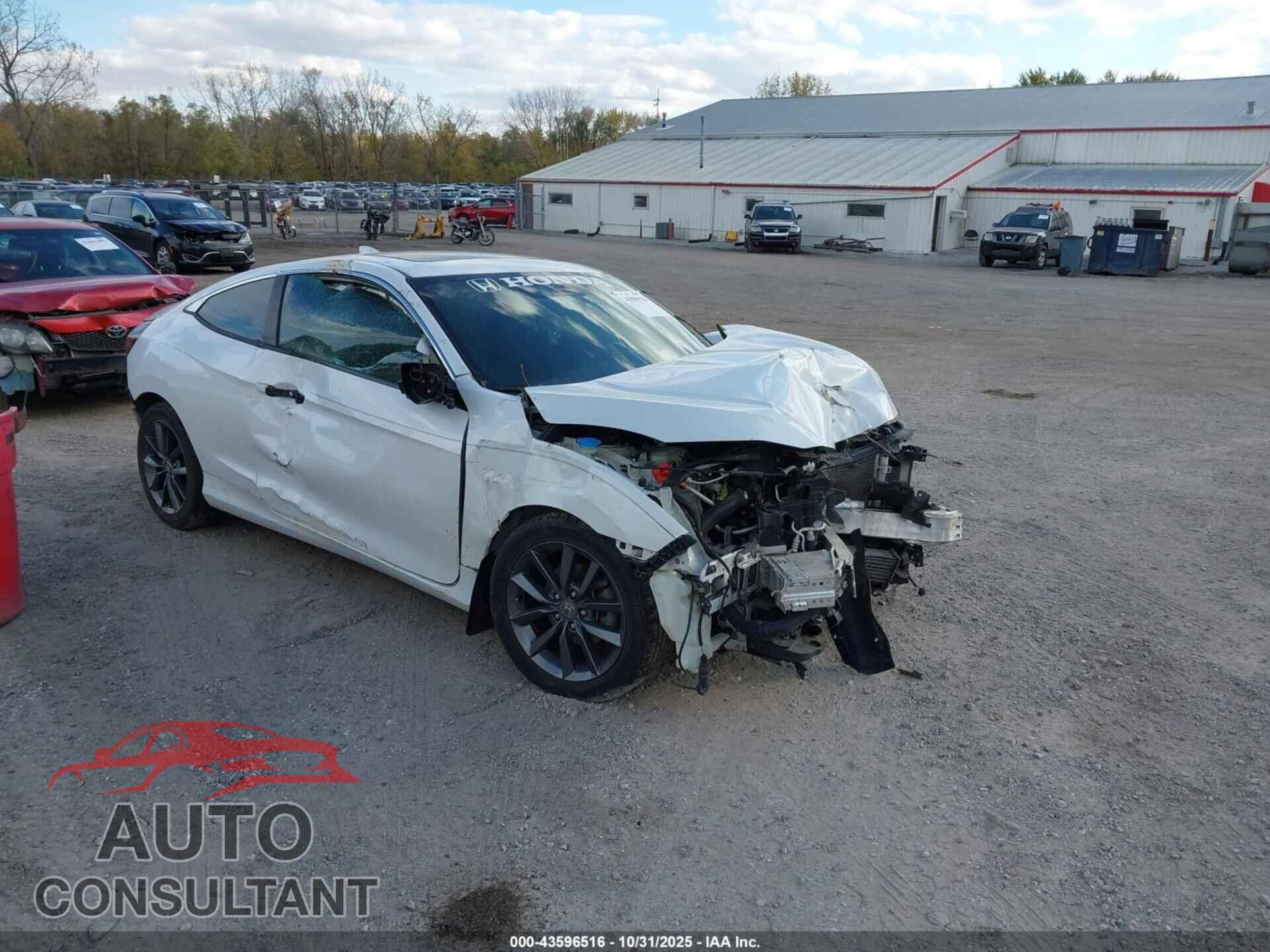 HONDA CIVIC 2019 - 2HGFC3B31KH355446
