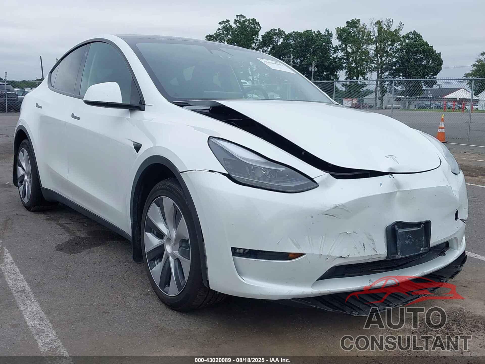 TESLA MODEL Y 2023 - 7SAYGDEE4PF759114