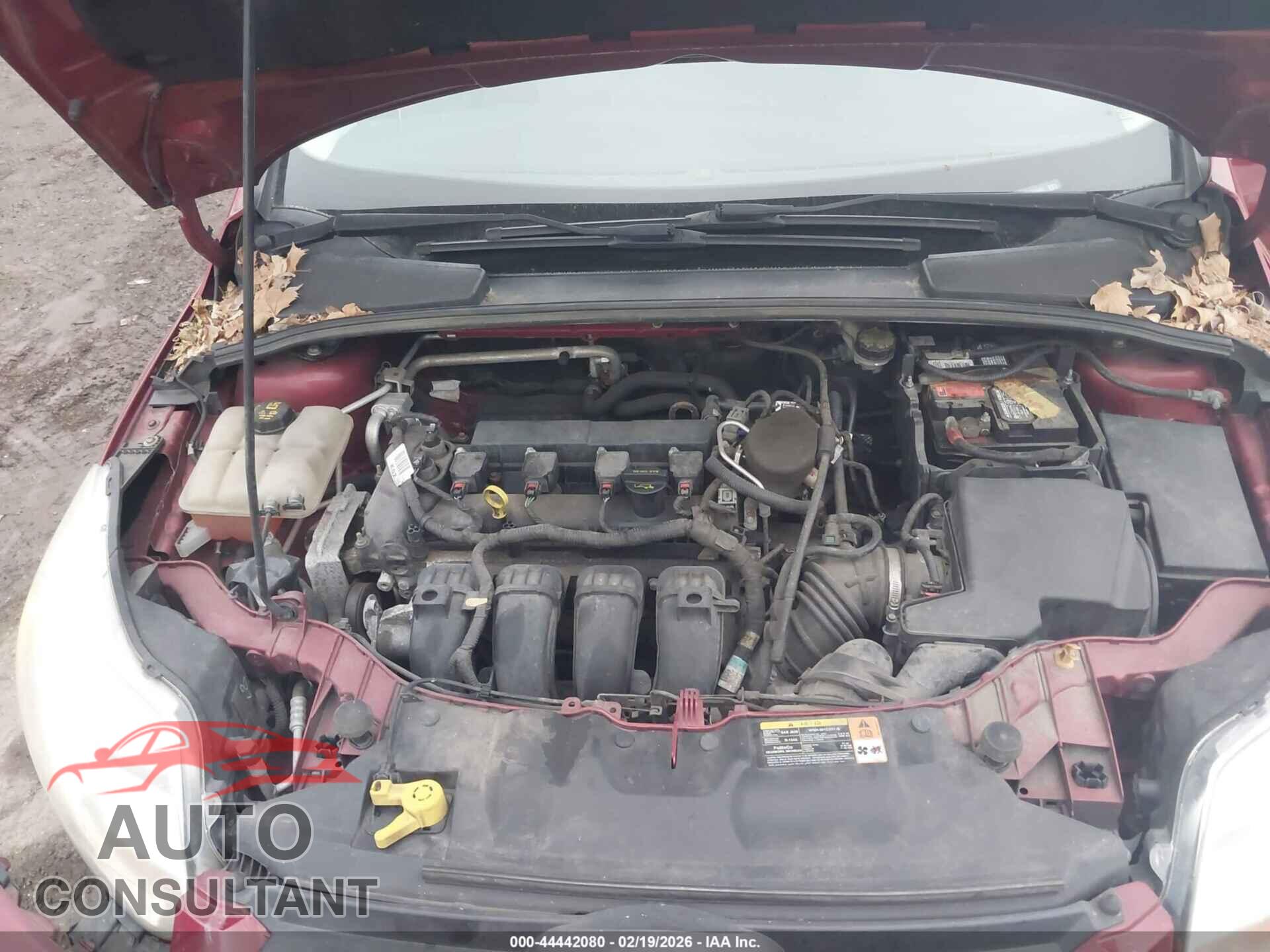 FORD FOCUS 2014 - 1FADP3F26EL174397