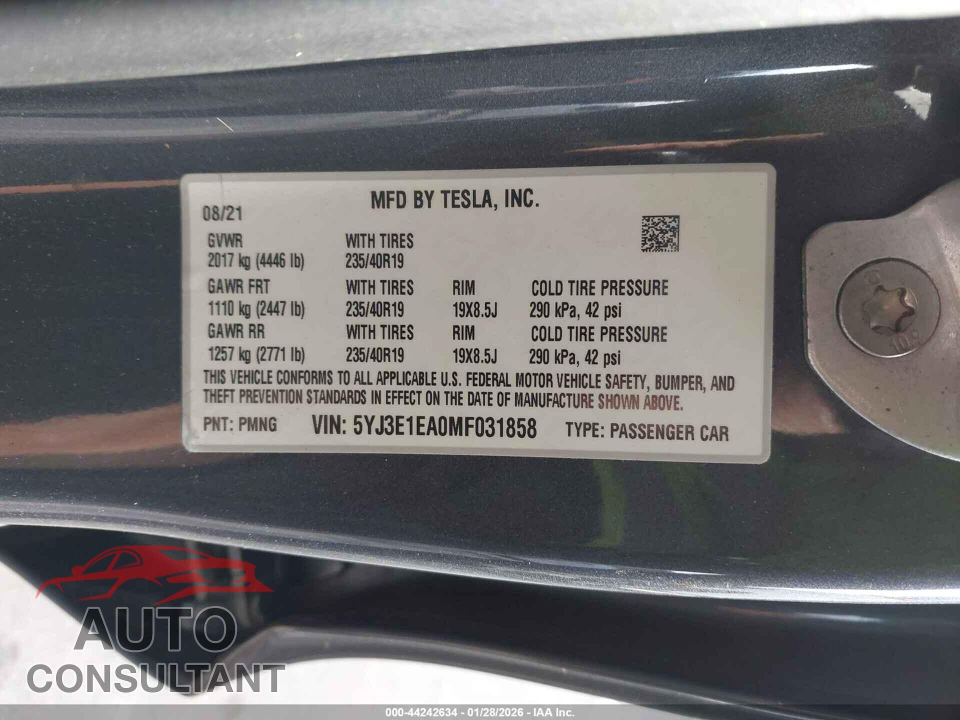 TESLA MODEL 3 2021 - 5YJ3E1EA0MF031858