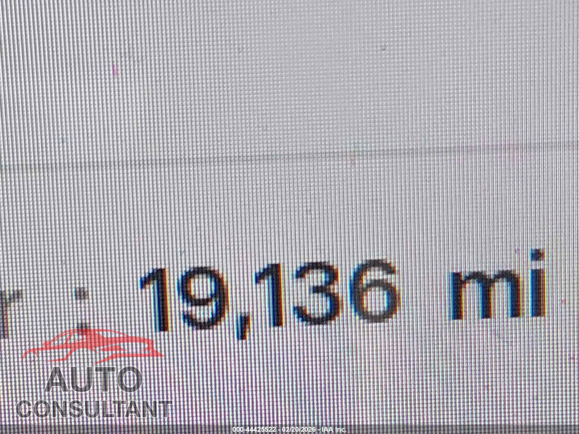 TESLA MODEL Y 2024 - 7SAYGDEE3RF987902