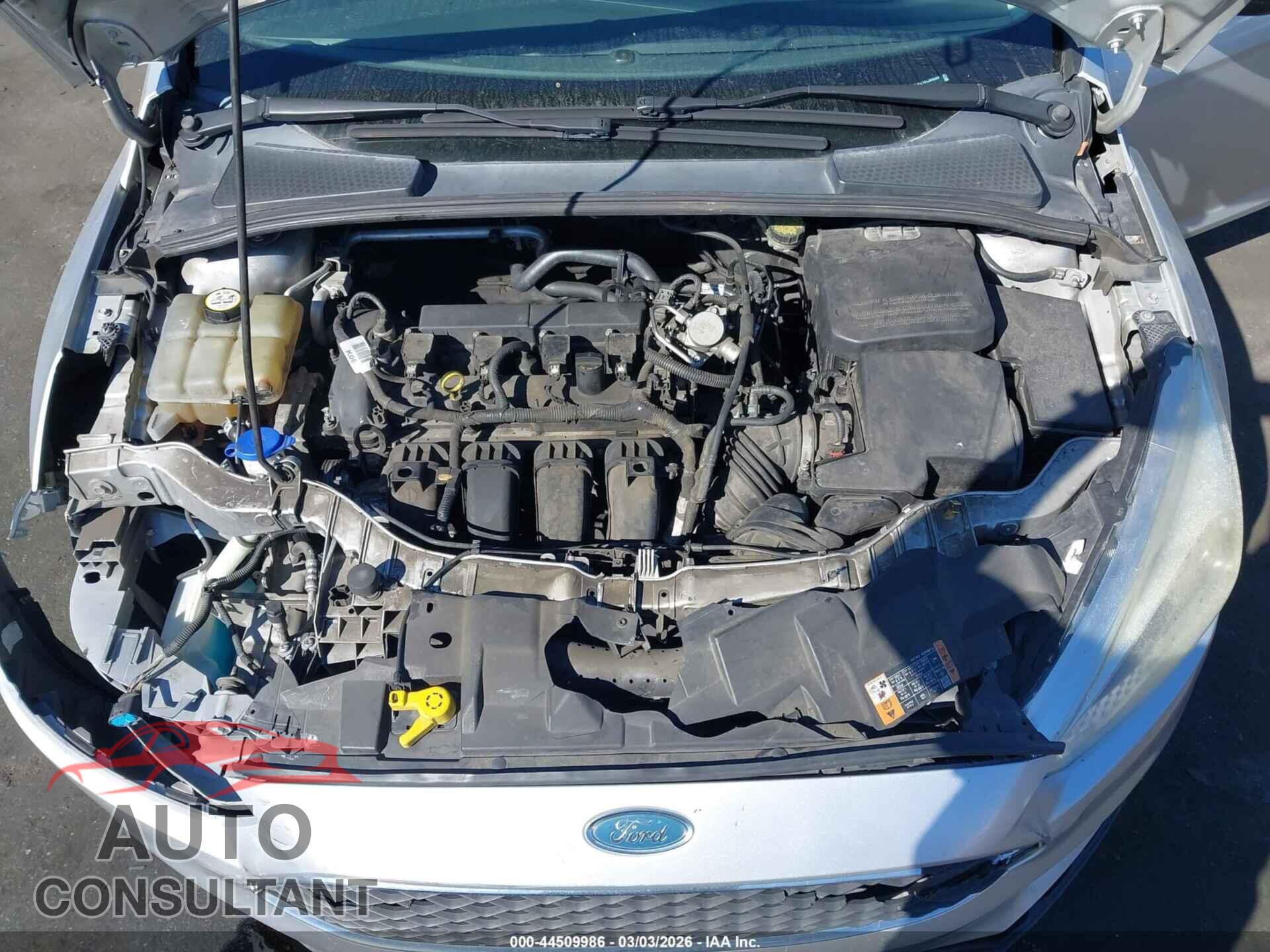 FORD FOCUS 2016 - 1FADP3E21GL369599