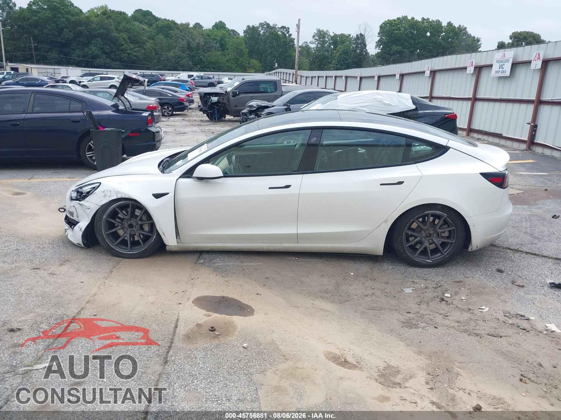 TESLA MODEL 3 2021 - 5YJ3E1EA7MF986981