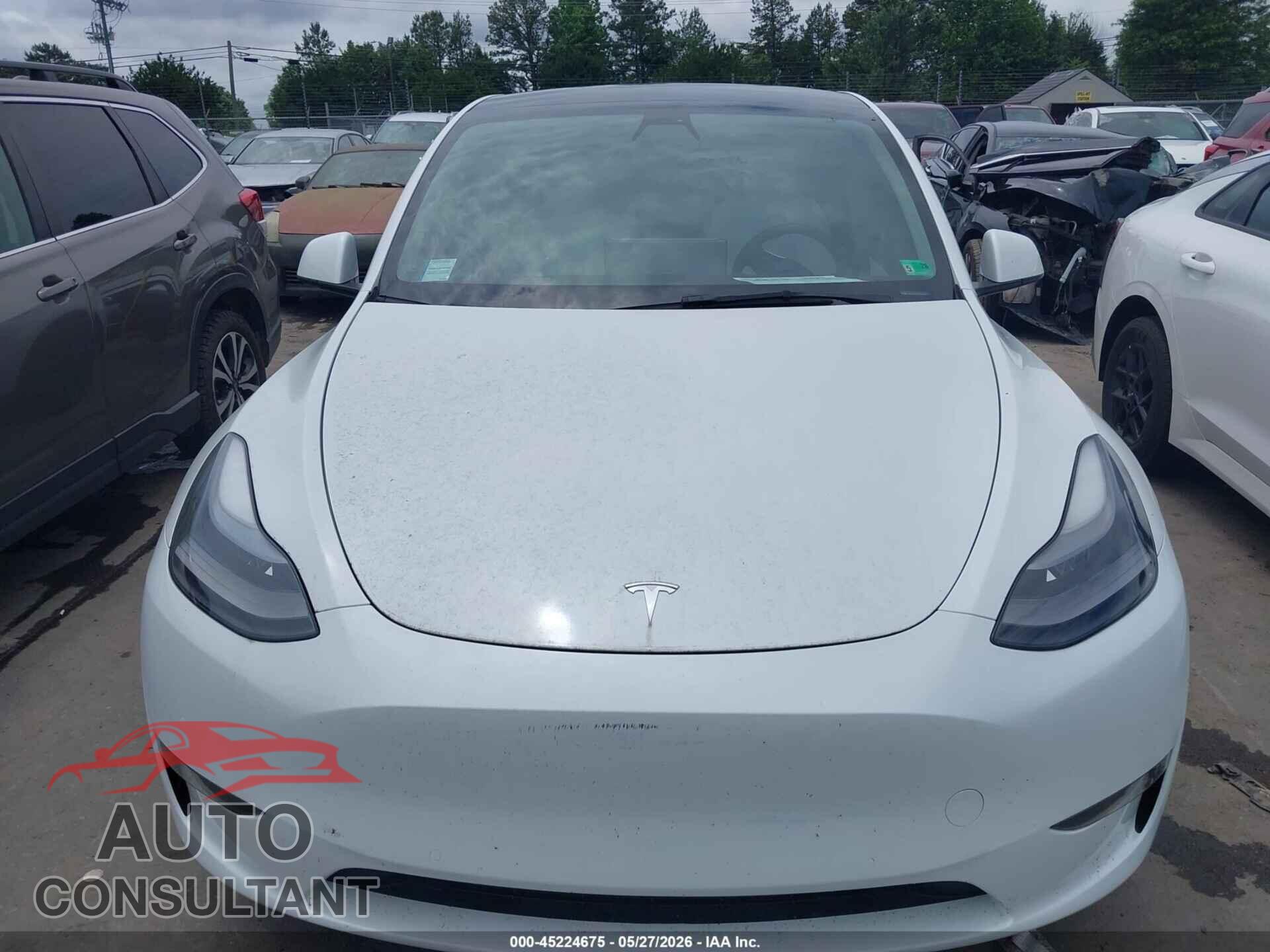 TESLA MODEL Y 2022 - 7SAYGDEF5NF461905