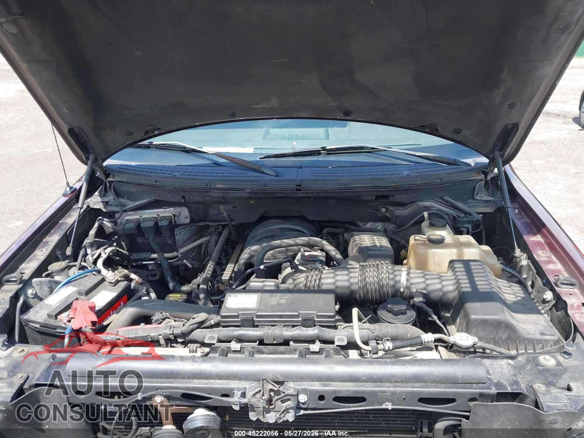 FORD F-150 2010 - 1FTEW1E89AFC69878