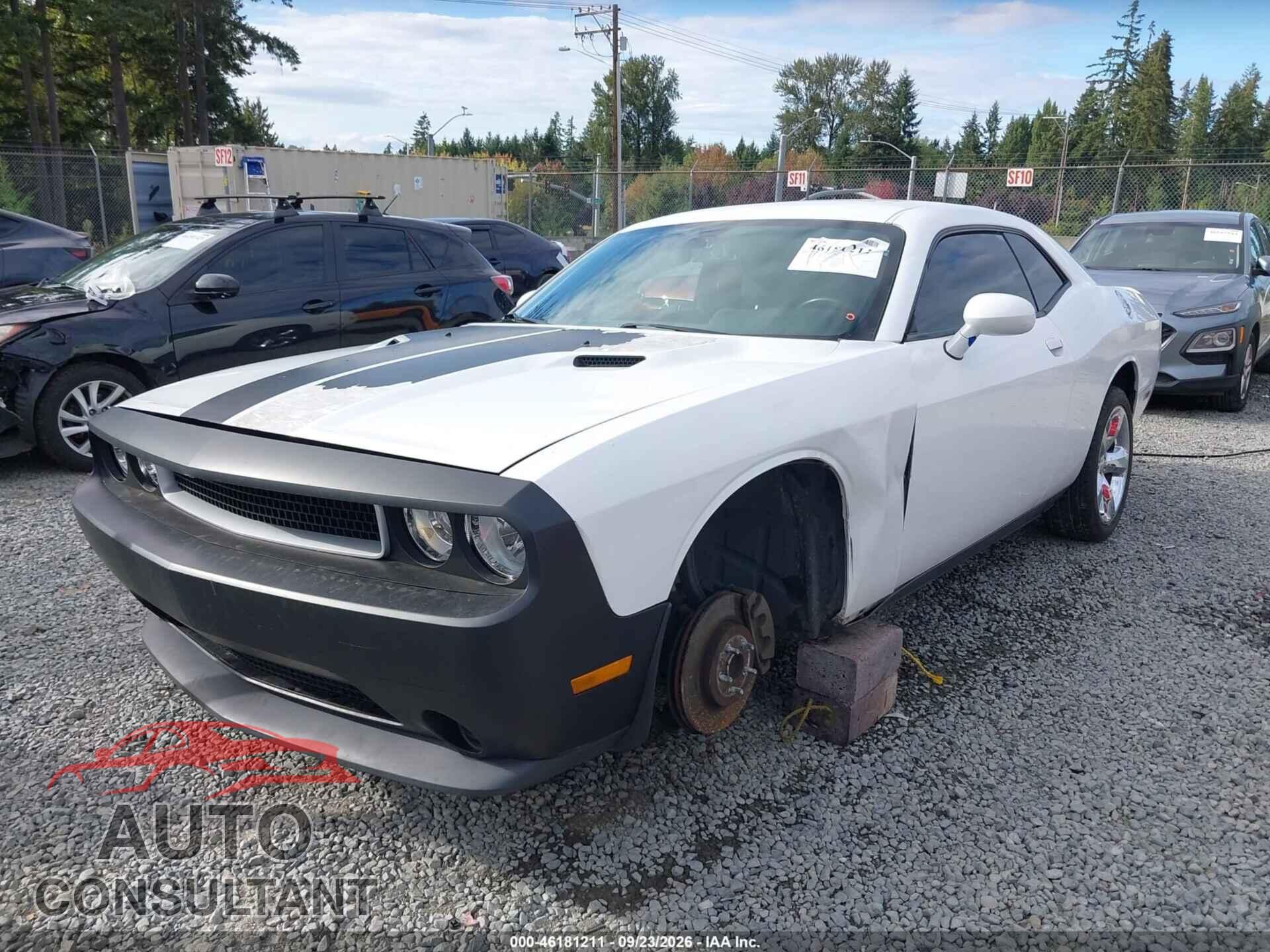 DODGE CHALLENGER 2013 - 2C3CDYAG5DH649536