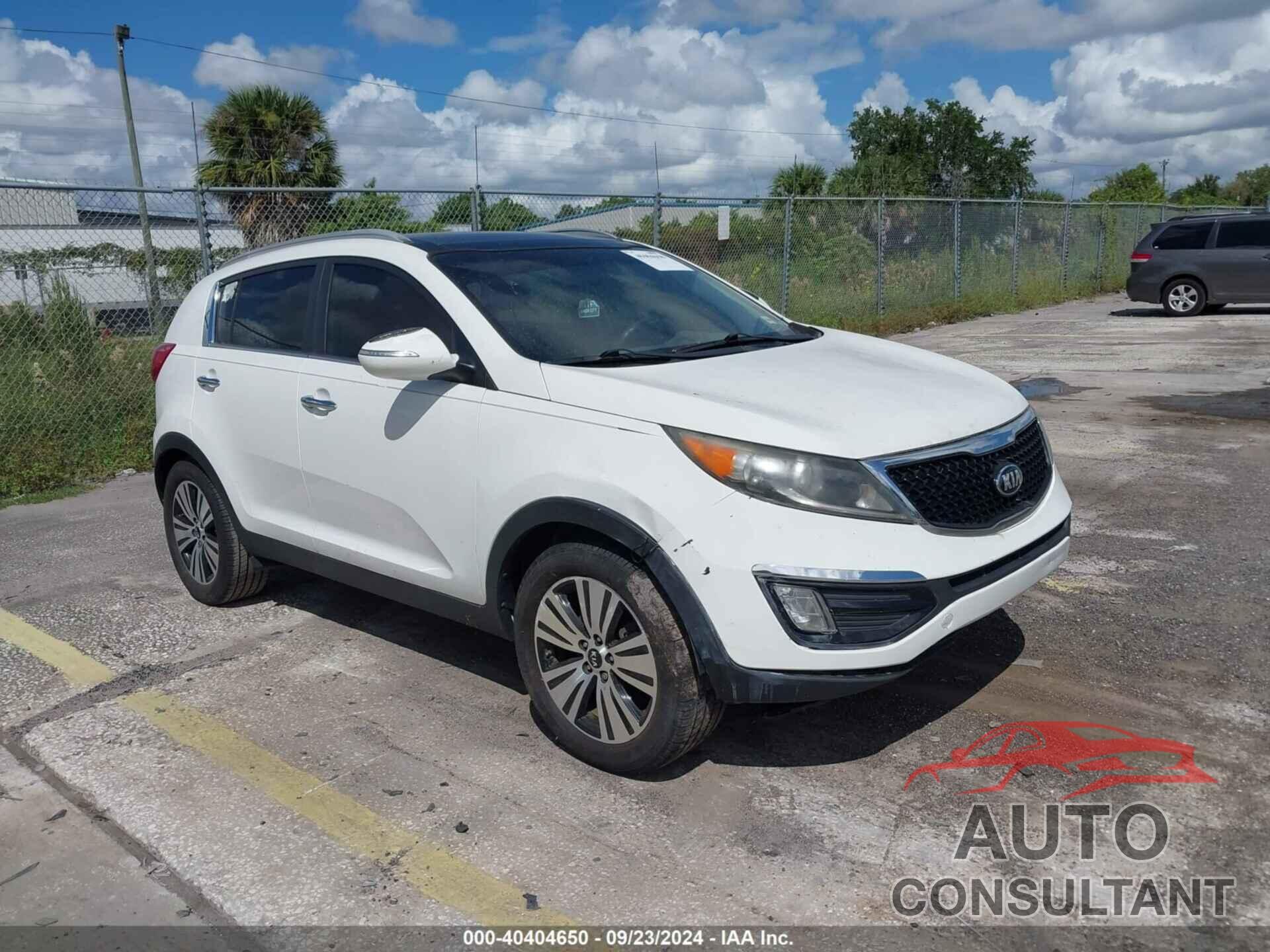 KIA SPORTAGE 2016 - KNDPC3AC8G7806217