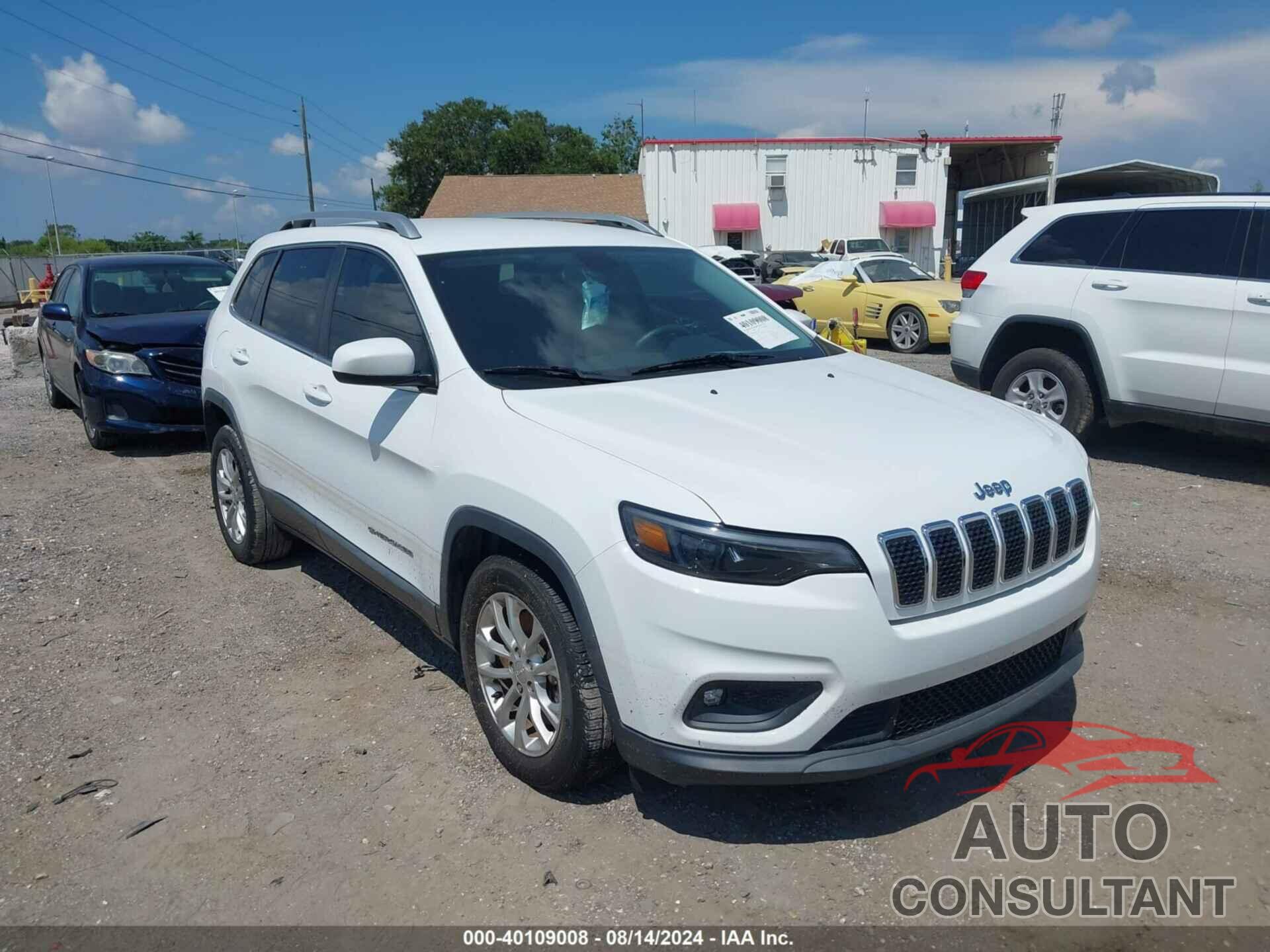 JEEP CHEROKEE 2019 - 1C4PJLCB6KD358323
