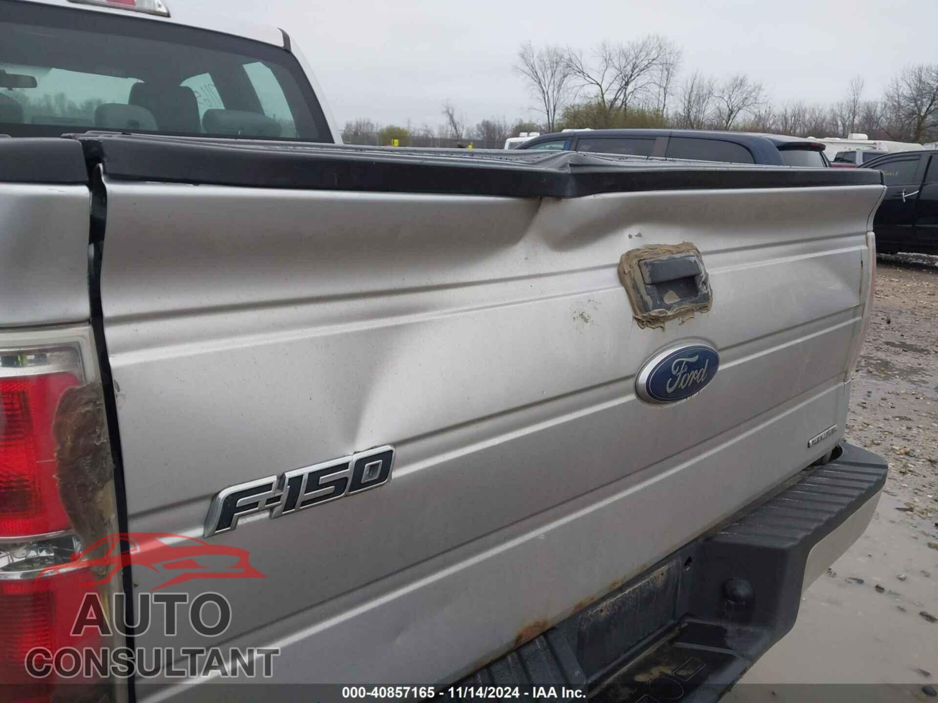 FORD F-150 2013 - 1FTFX1EF7DFD33954