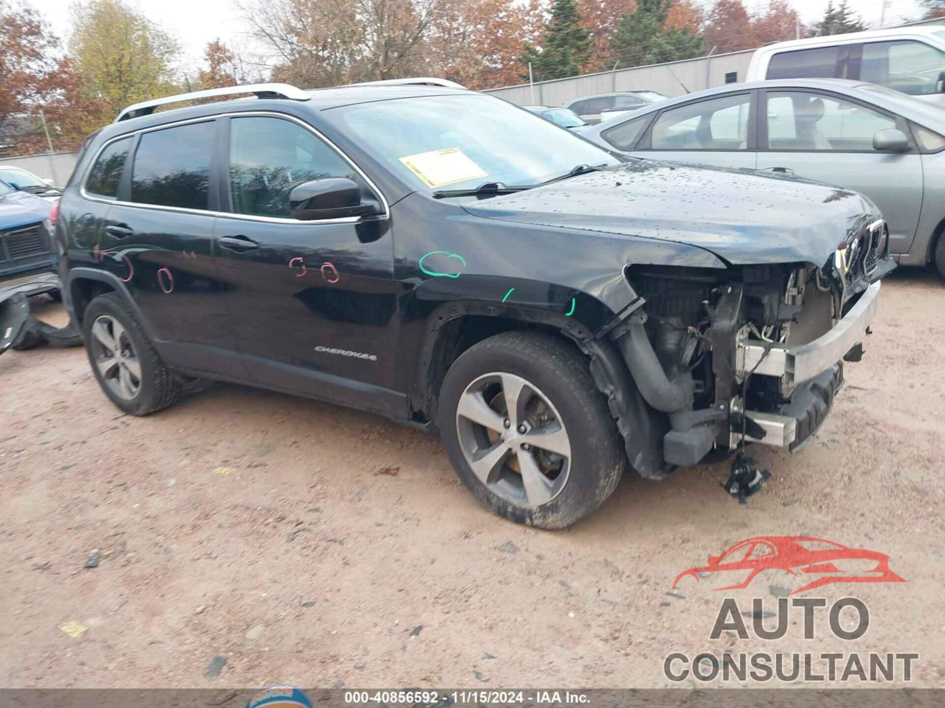 JEEP CHEROKEE 2019 - 1C4PJMDX6KD423557