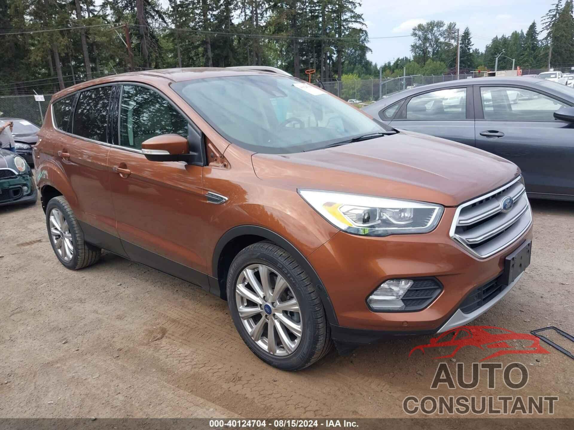 FORD ESCAPE 2017 - 1FMCU0J94HUD58328