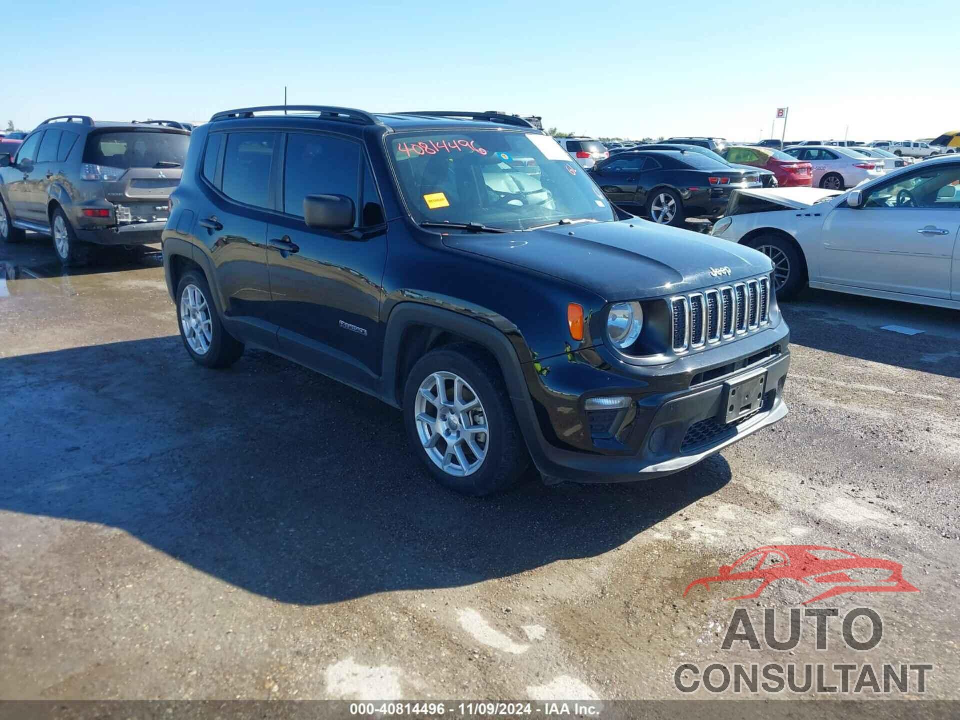 JEEP RENEGADE 2020 - ZACNJAABXLPL74846