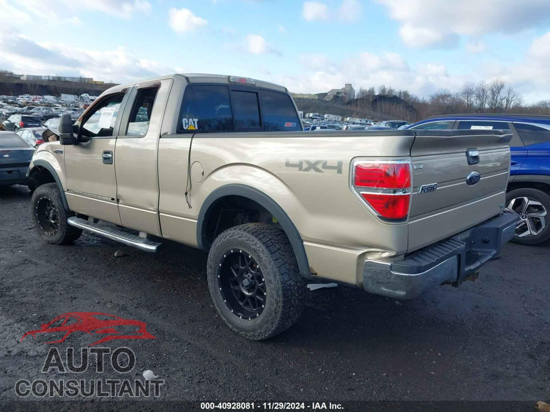FORD F-150 2010 - 1FTFX1EV2AFC69759