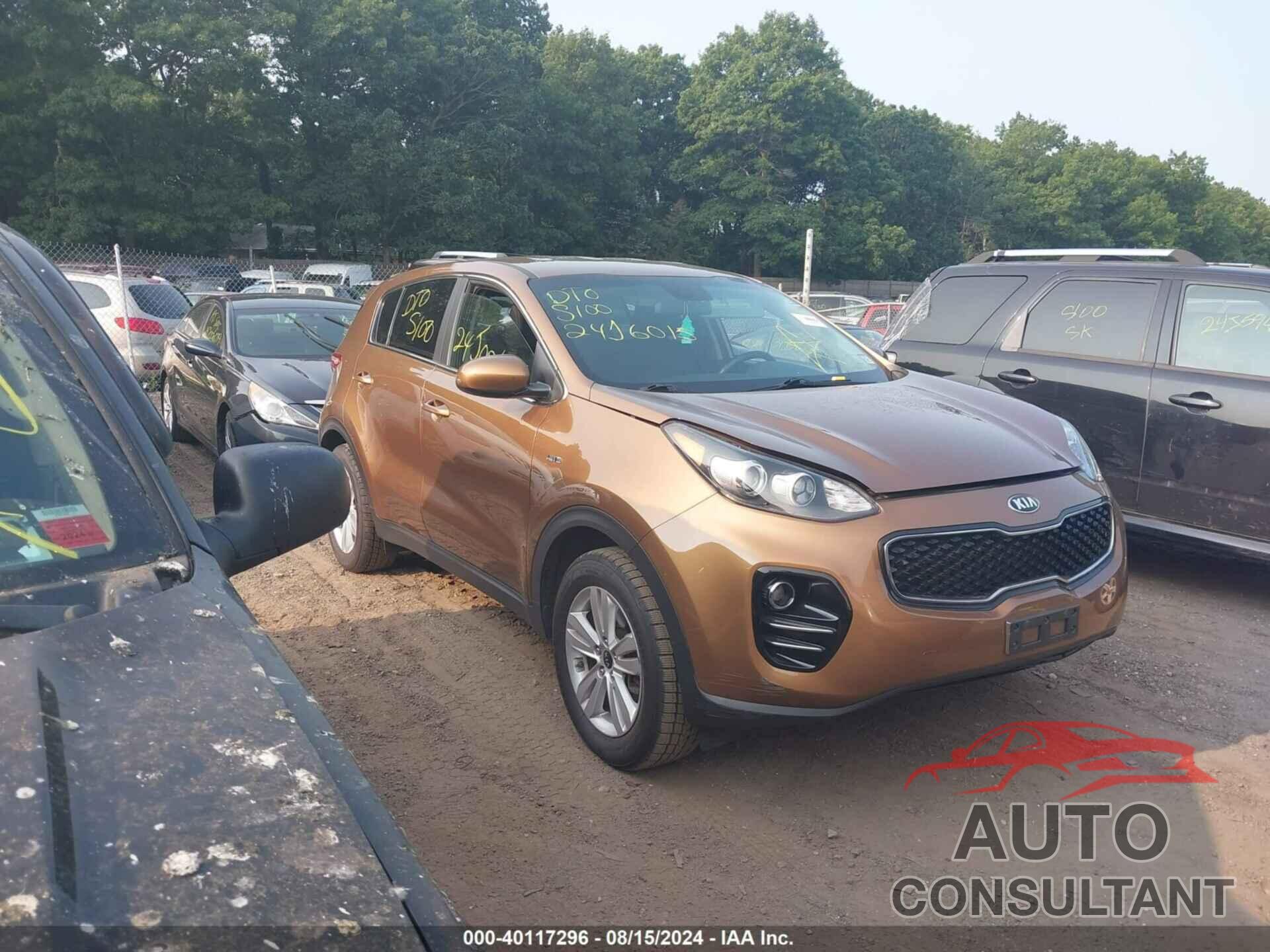 KIA SPORTAGE 2019 - KNDPMCAC2K7624115