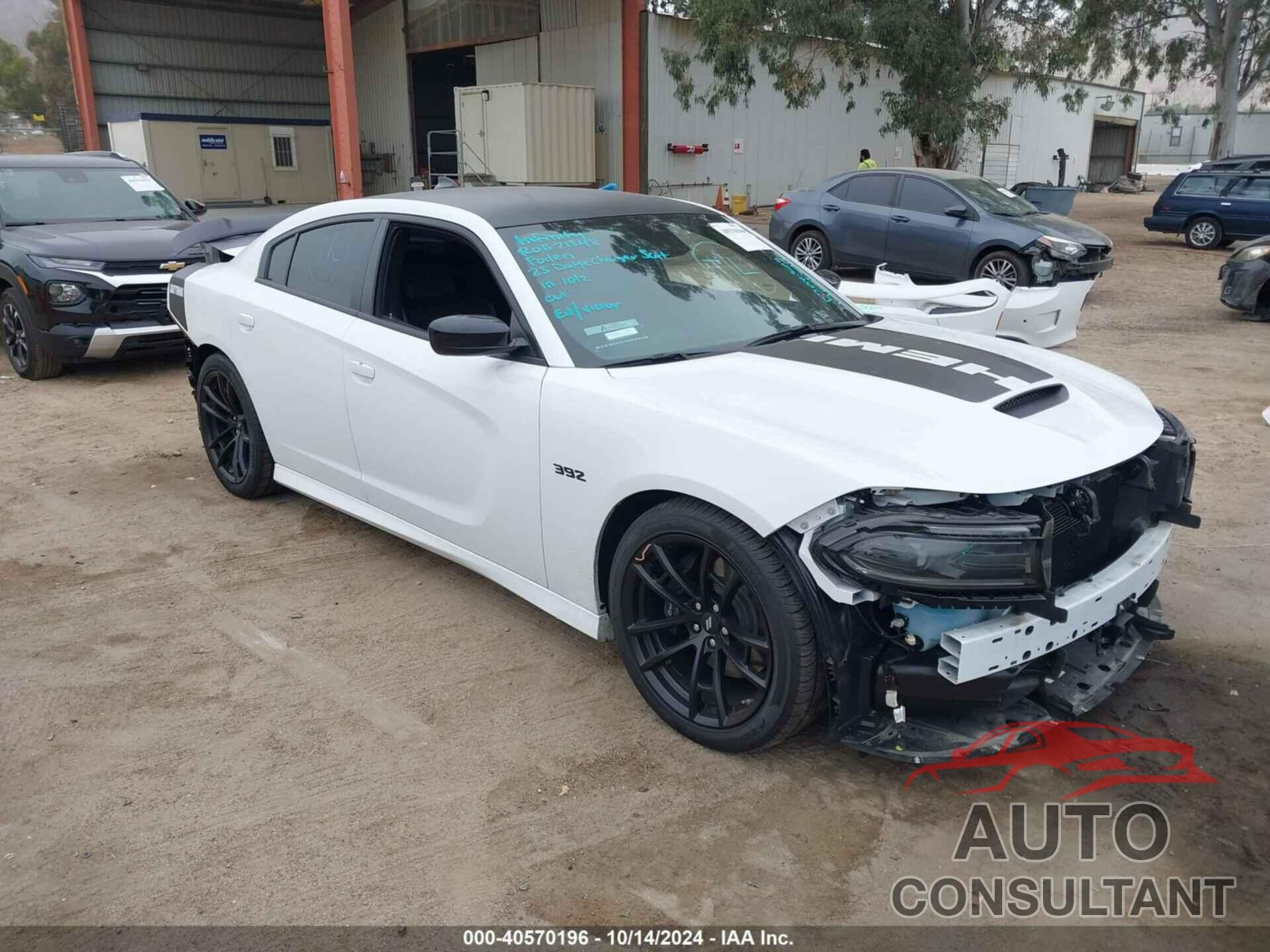 DODGE CHARGER 2023 - 2C3CDXGJ9PH551059