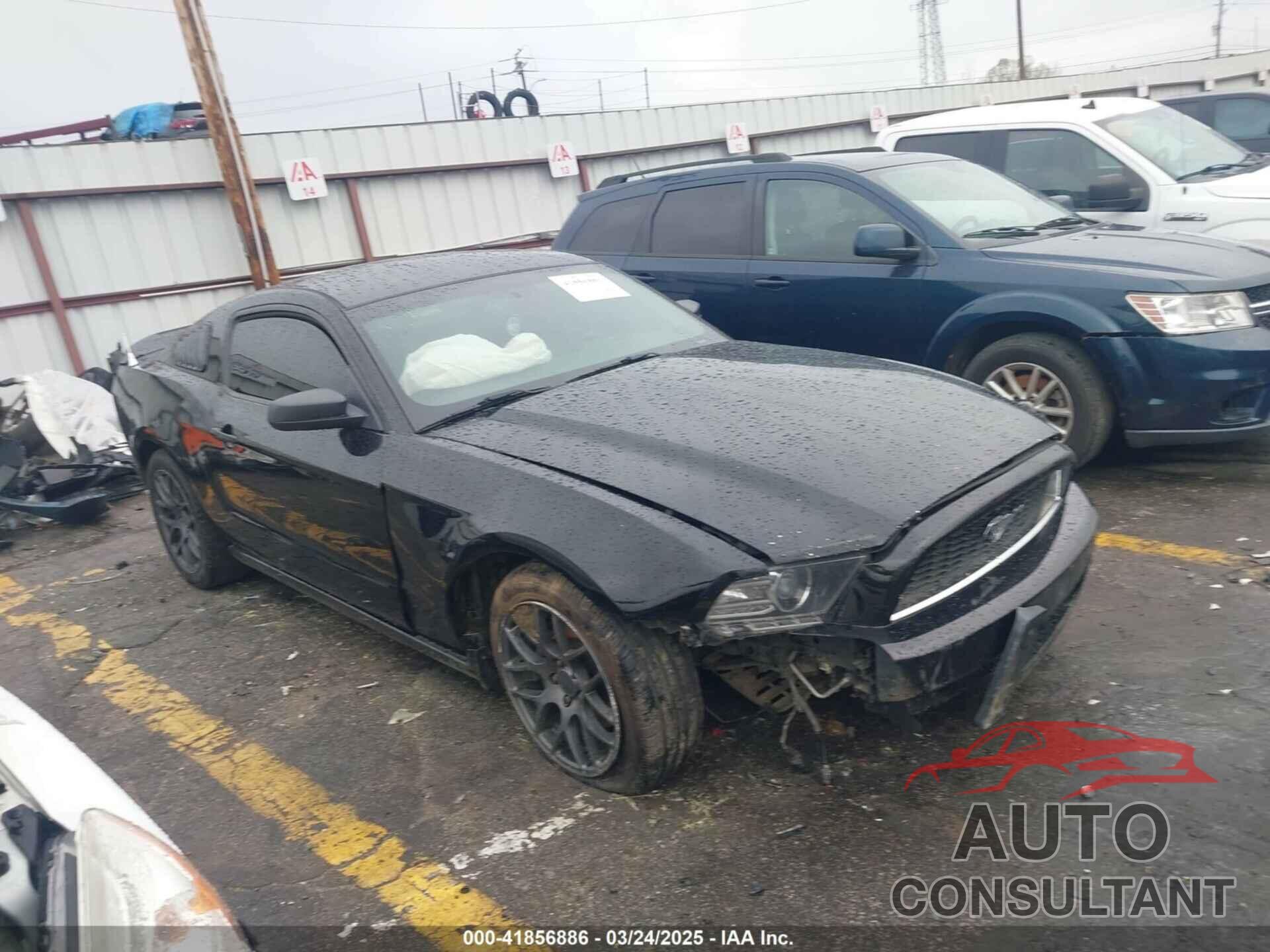 FORD MUSTANG 2013 - 1ZVBP8AM9D5253490