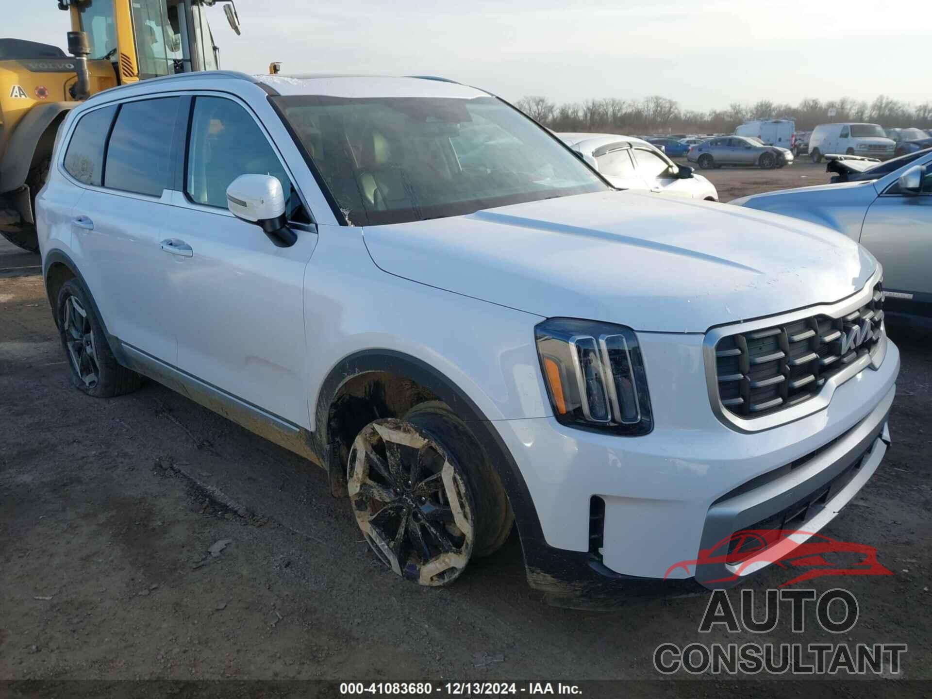 KIA TELLURIDE 2024 - 5XYP64GC1RG462935