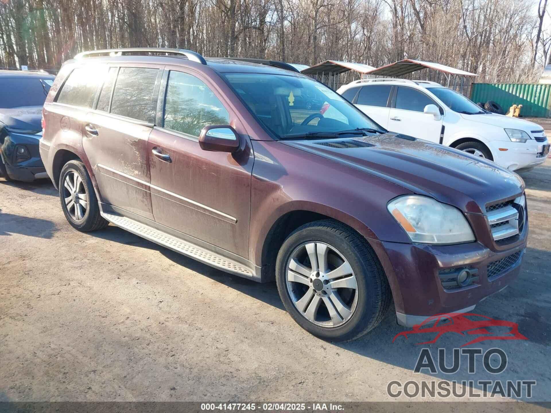 MERCEDES-BENZ GL 450 2009 - 4JGBF71E99A494291