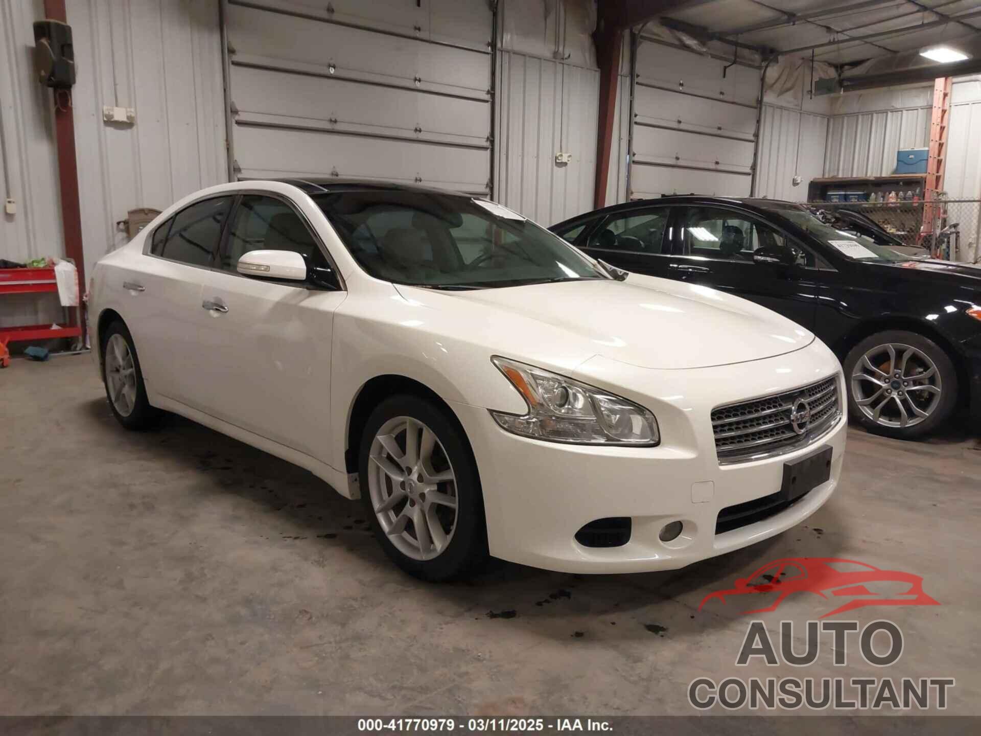 NISSAN MAXIMA 2011 - 1N4AA5AP1BC828785