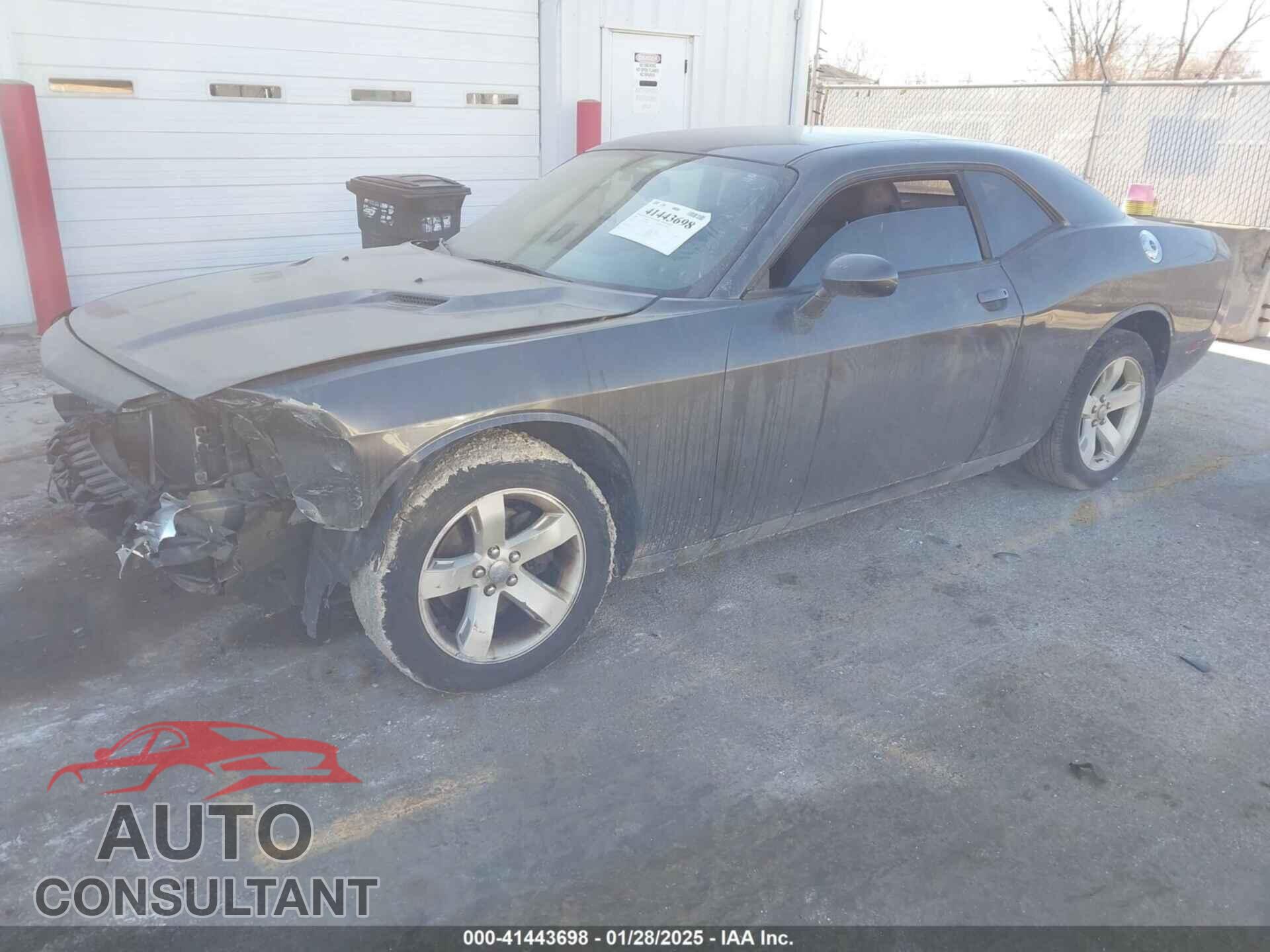 DODGE CHALLENGER 2013 - 2C3CDYAG9DH541985