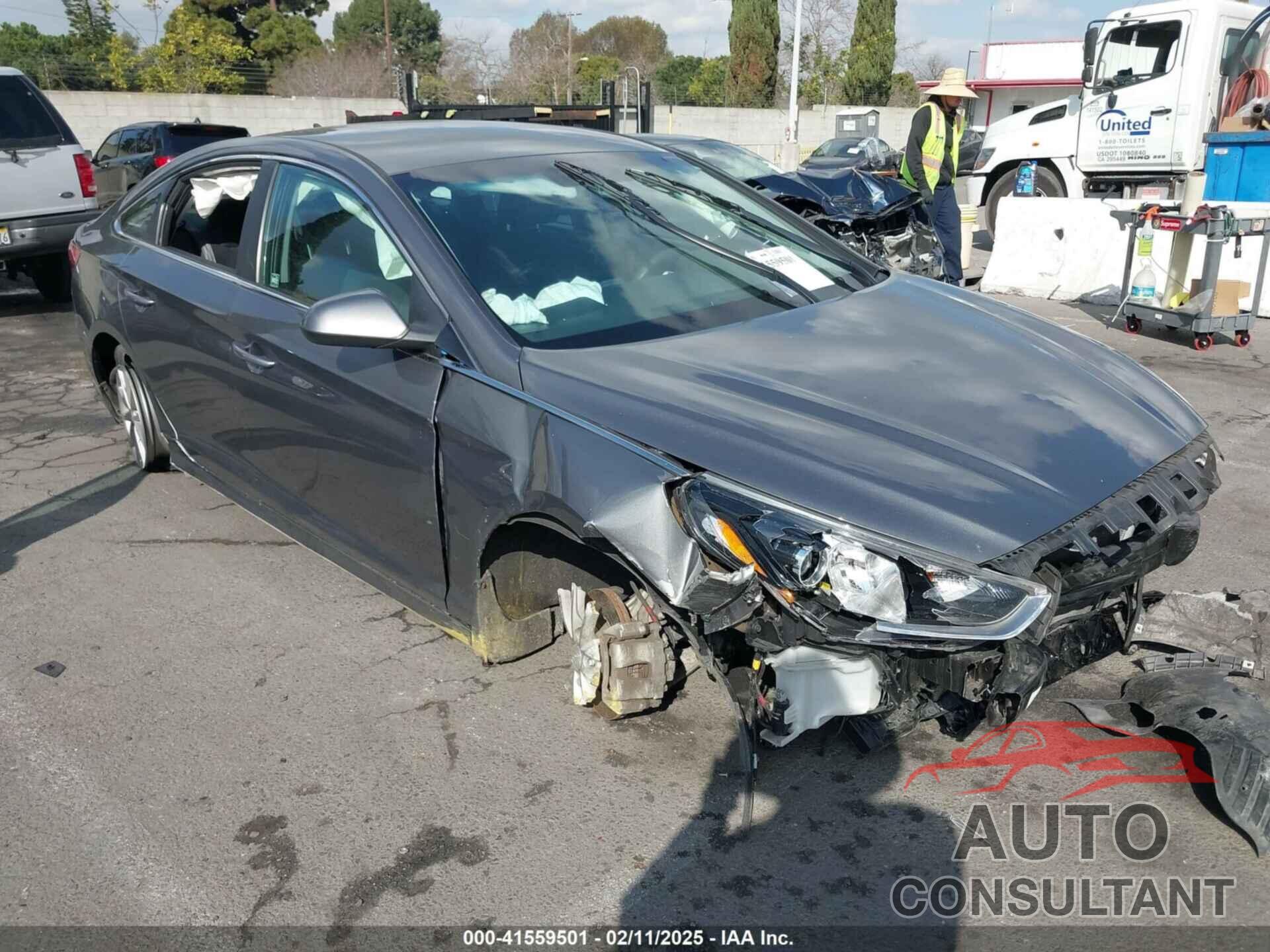 HYUNDAI SONATA 2019 - 5NPE24AFXKH798295