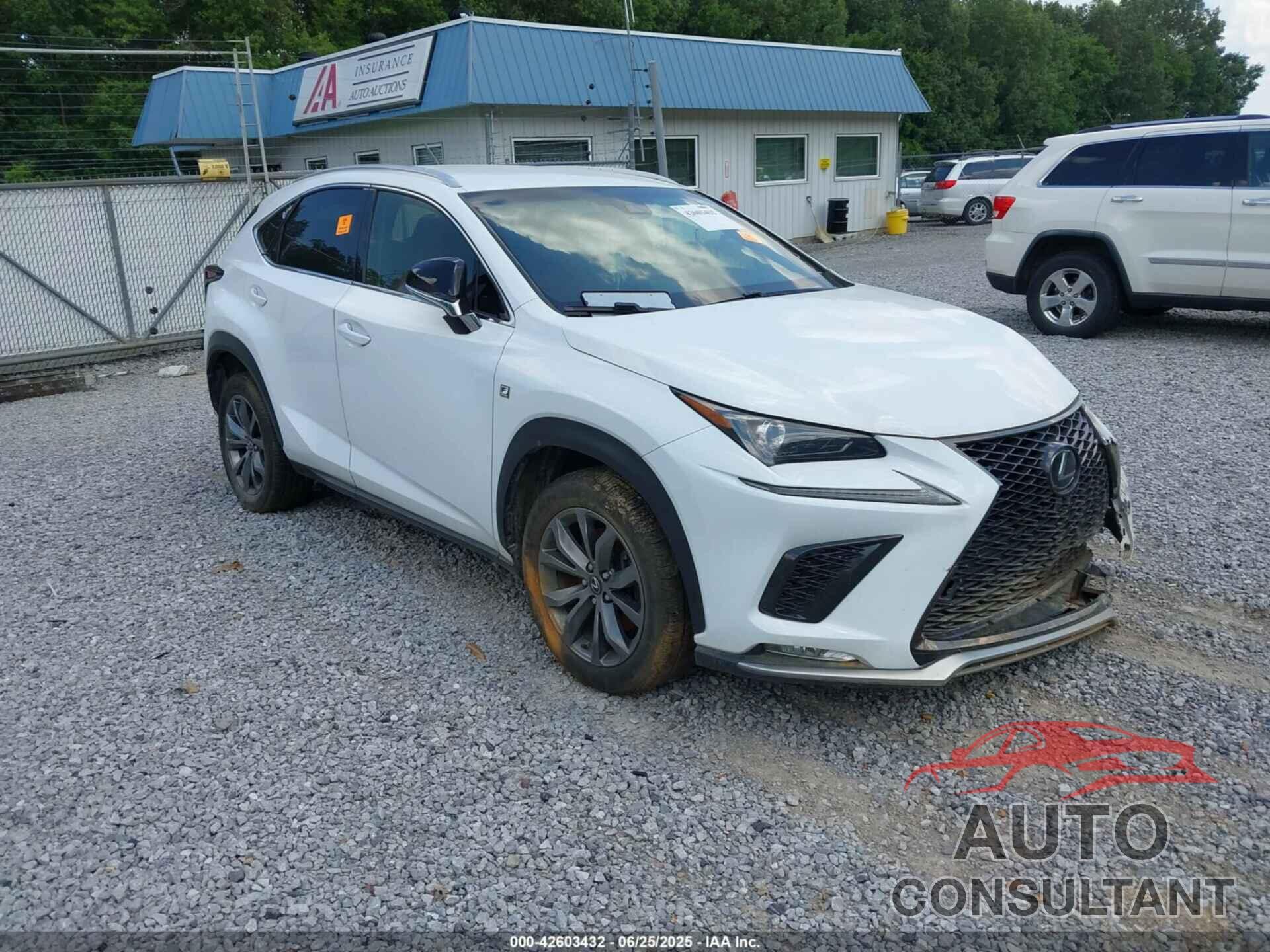 LEXUS NX 300 2019 - JTJYARBZ4K2154571