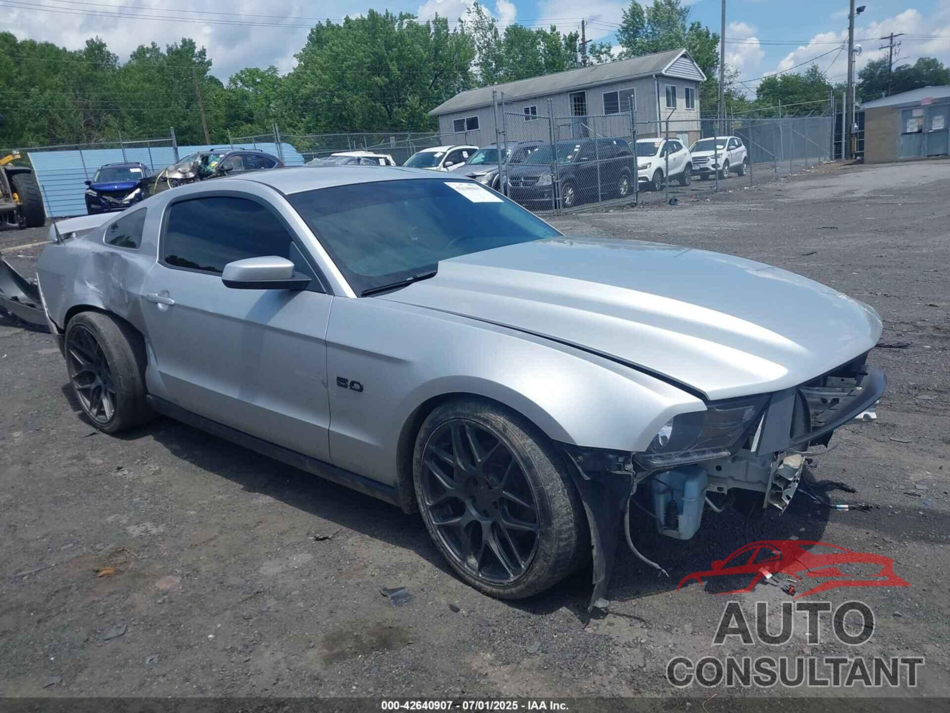 FORD MUSTANG 2011 - 1ZVBP8CF0B5103229