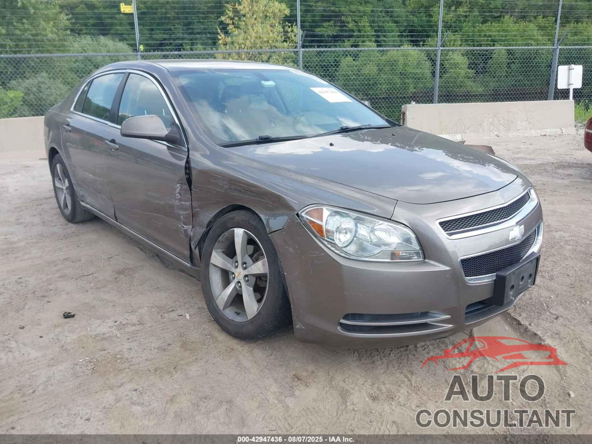 CHEVROLET MALIBU 2011 - 1G1ZC5E11BF215358