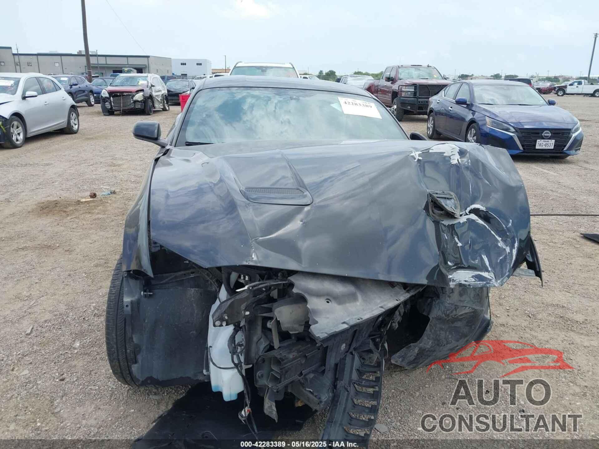 FORD MUSTANG 2019 - 1FA6P8THXK5125833