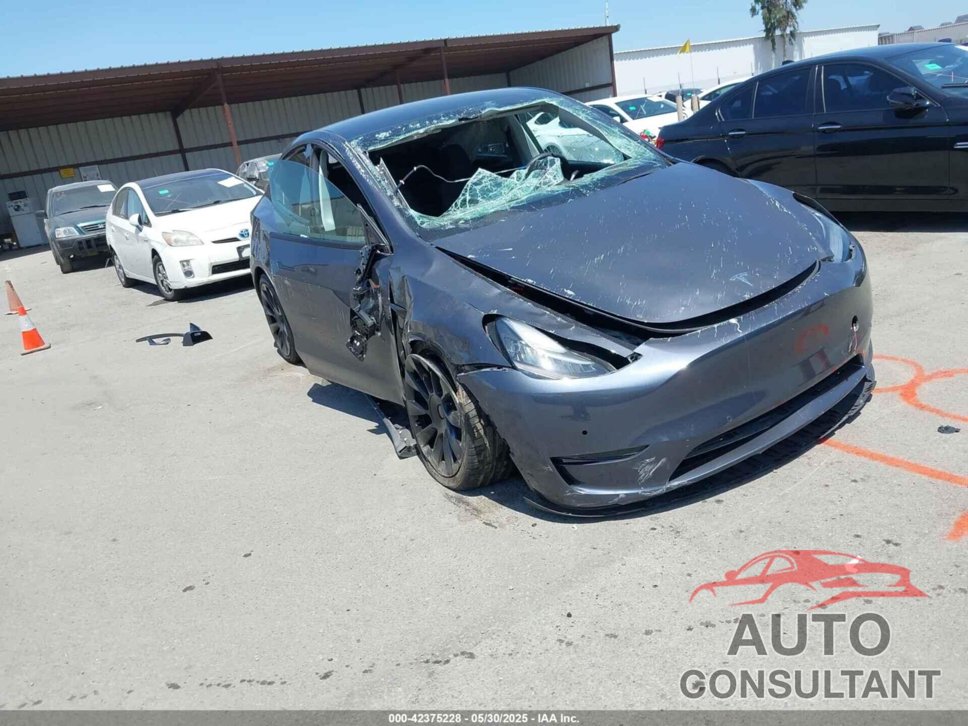 TESLA MODEL Y 2022 - 7SAYGDEEXNF351701