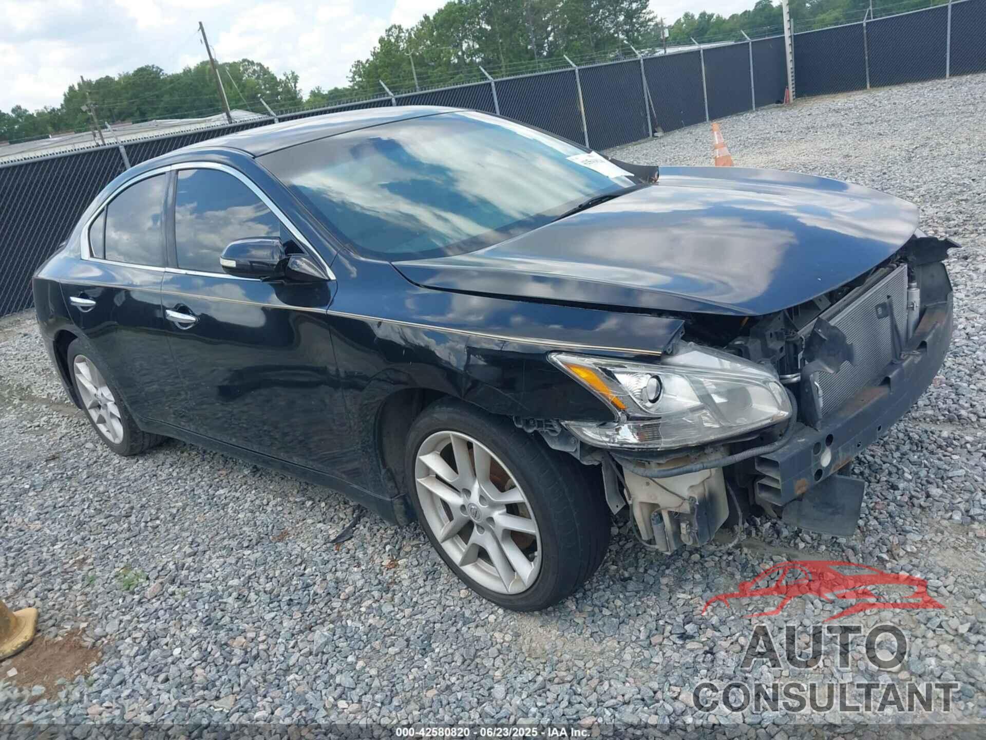 NISSAN MAXIMA 2010 - 1N4AA5APXAC834390