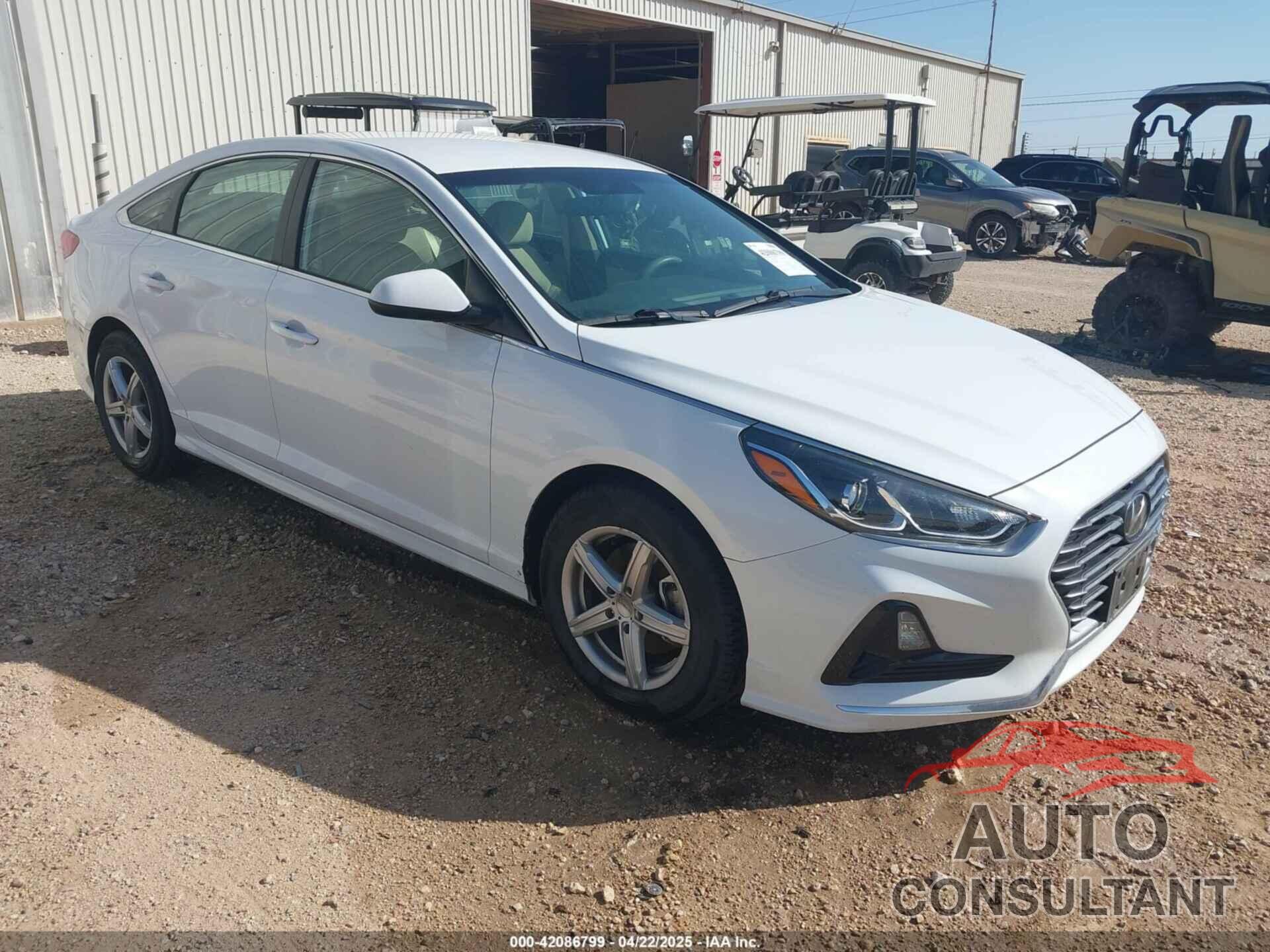HYUNDAI SONATA 2019 - 5NPE24AF4KH749965