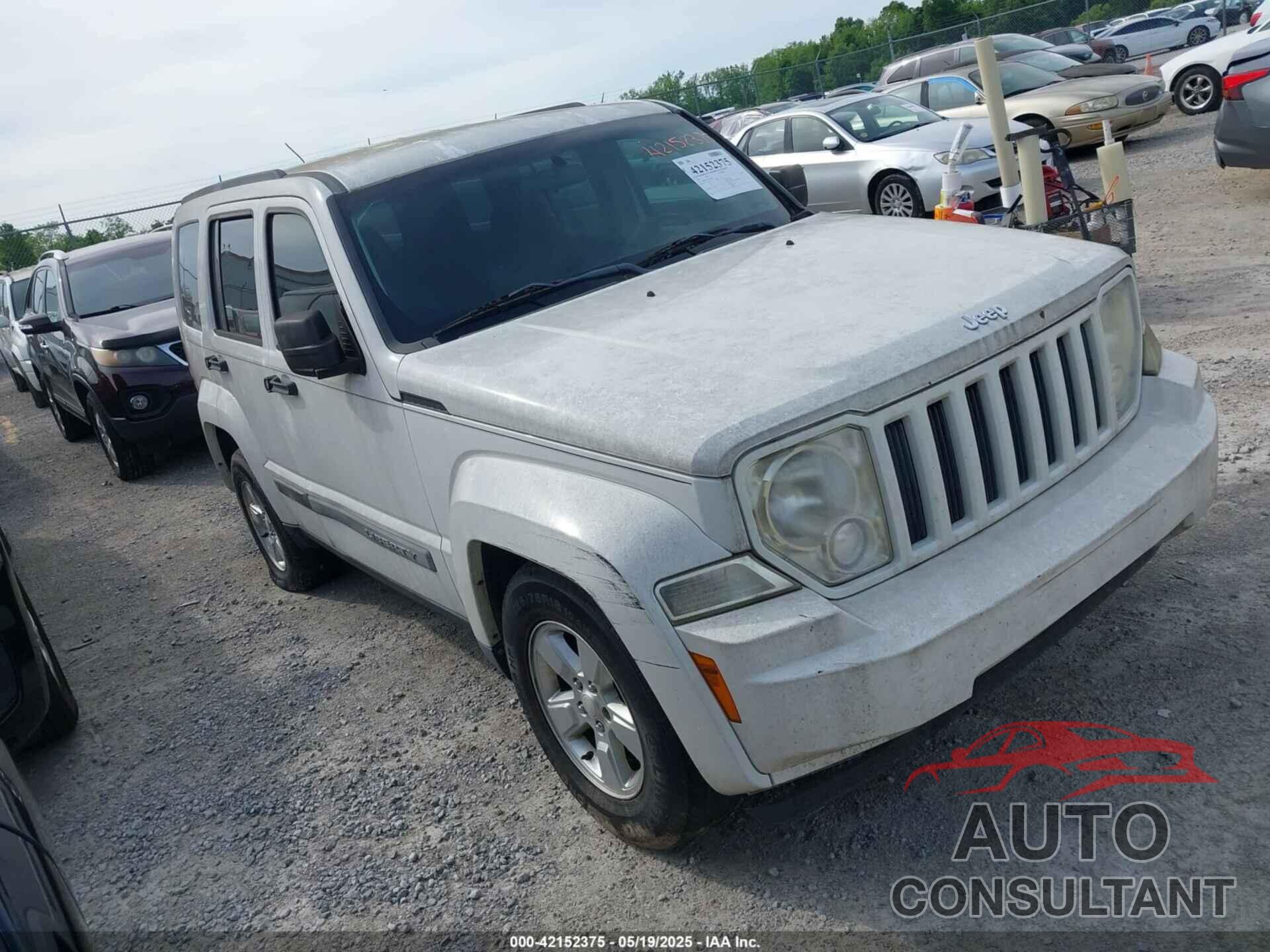 JEEP LIBERTY 2010 - 1J4PN2GK3AW166329