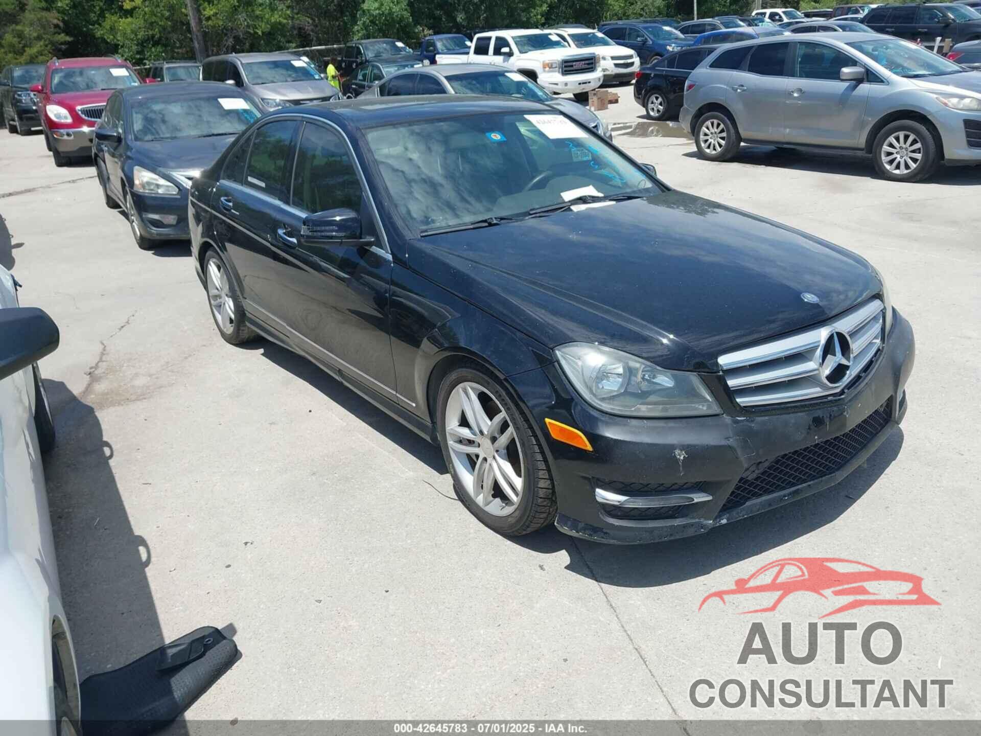 MERCEDES-BENZ C 250 2013 - WDDGF4HB4DR256918