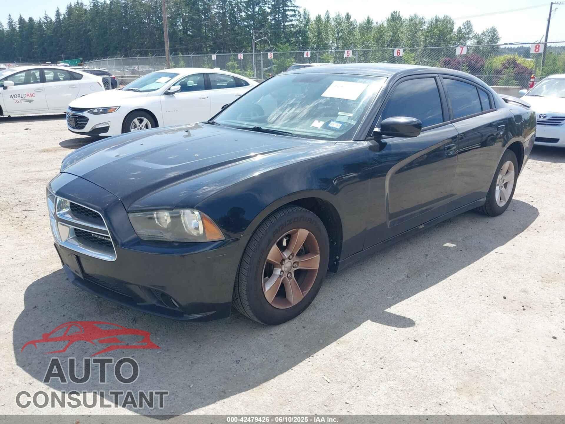 DODGE CHARGER 2013 - 2C3CDXHG9DH545261