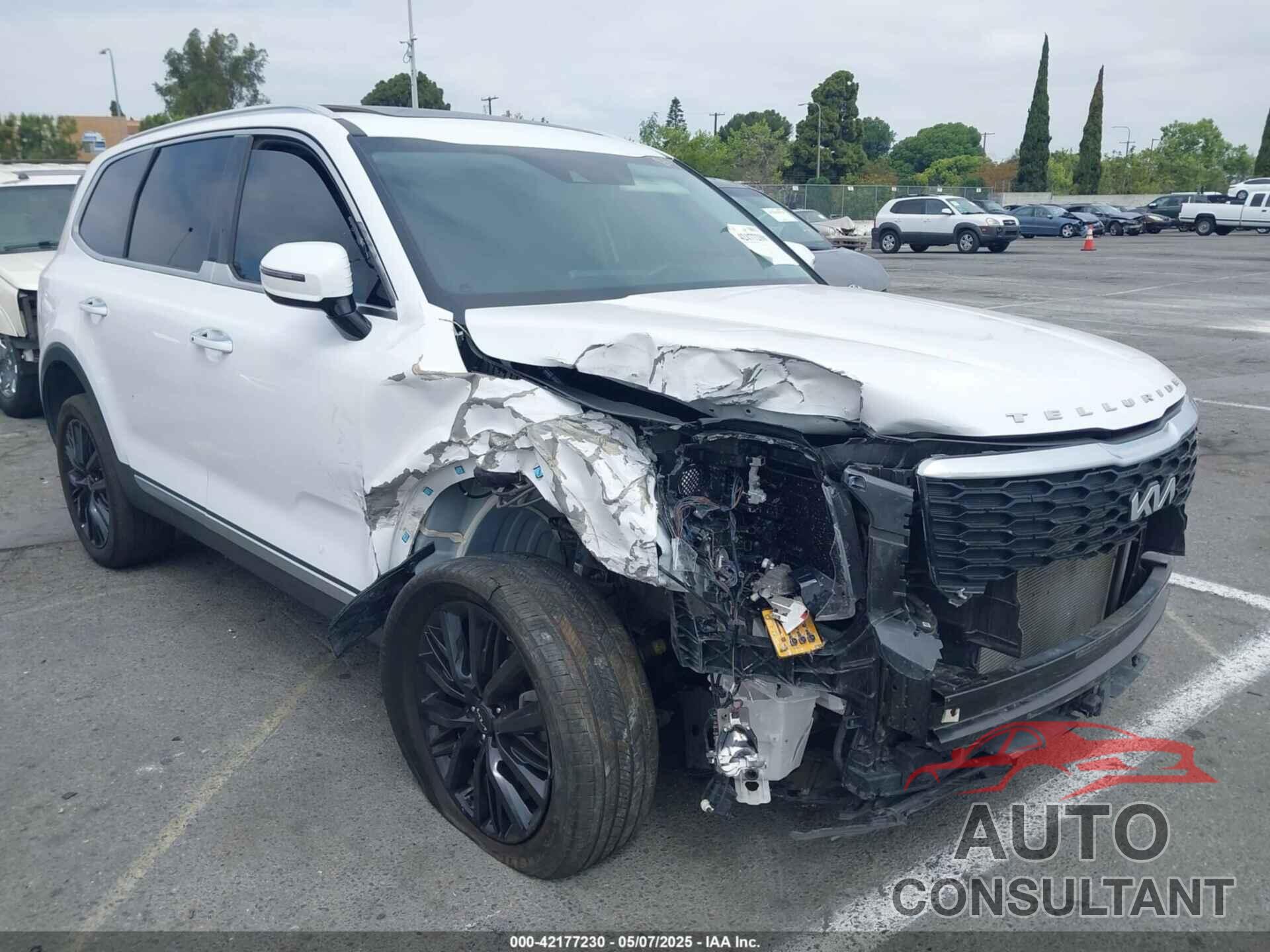 KIA TELLURIDE 2022 - 5XYP5DHC9NG247668