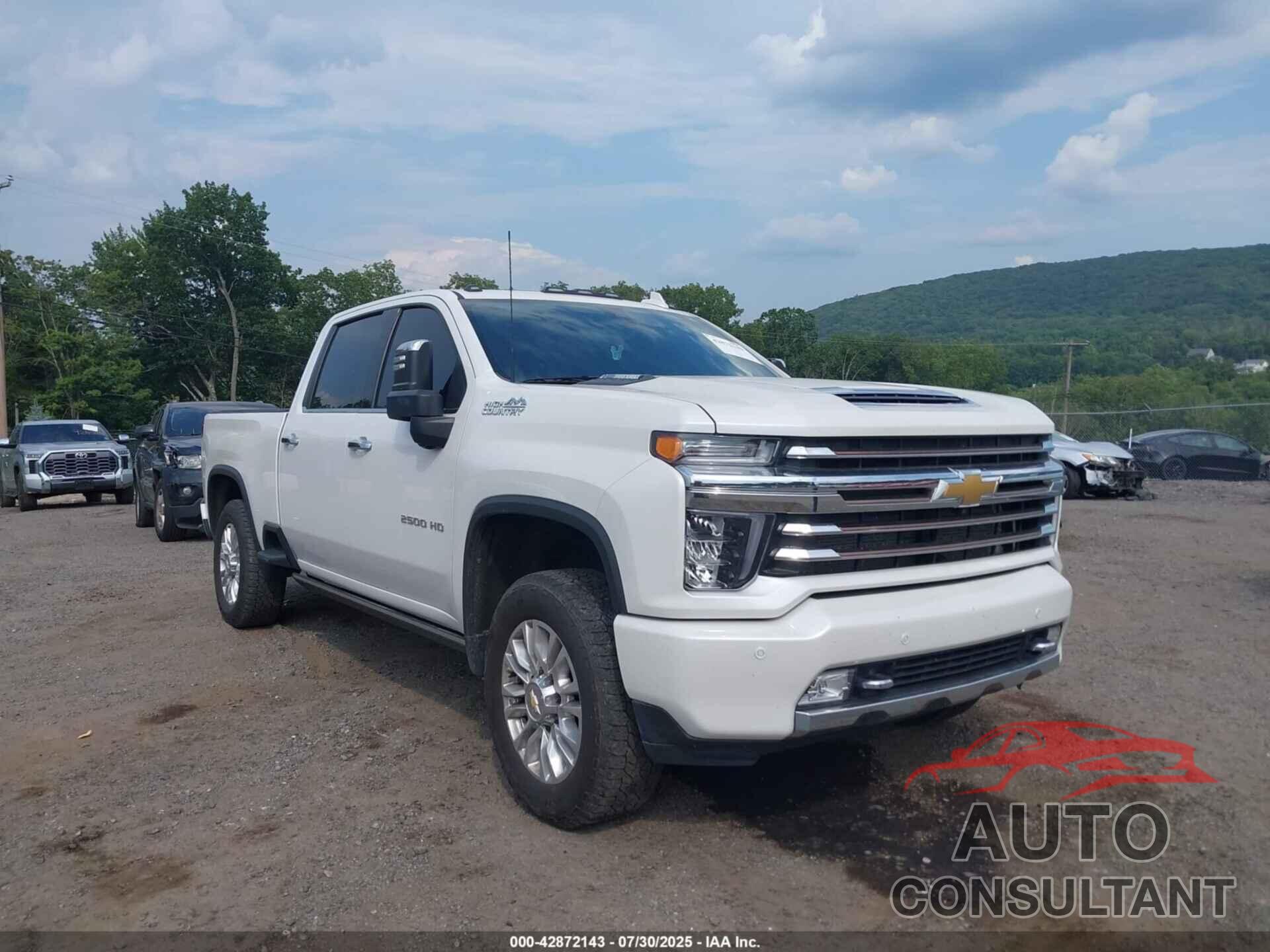 CHEVROLET SILVERADO 2500HD 2021 - 1GC4YREY2MF154290