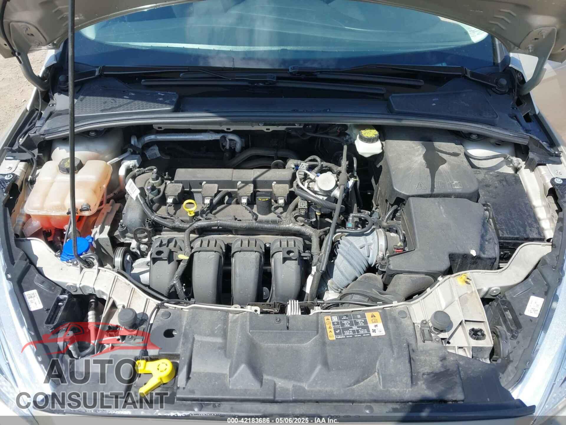 FORD FOCUS 2017 - 1FADP3F29HL229459
