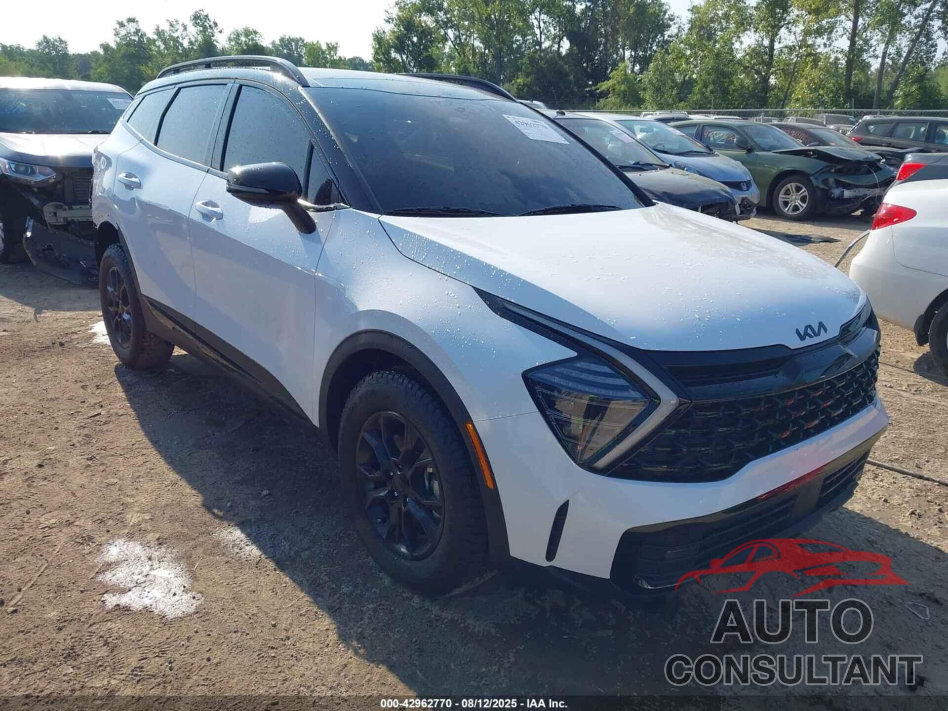 KIA SPORTAGE 2025 - 5XYK7CDF6SG293114
