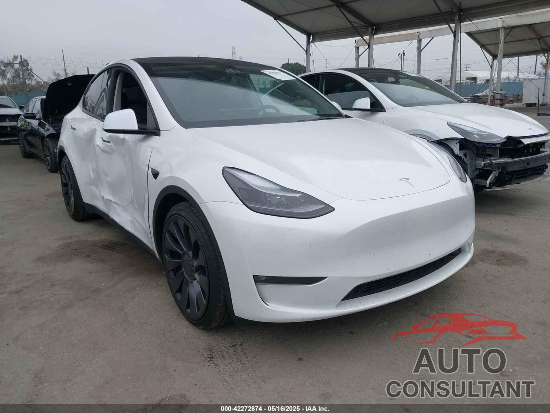 TESLA MODEL Y 2025 - 7SAYGDEF3SF245577