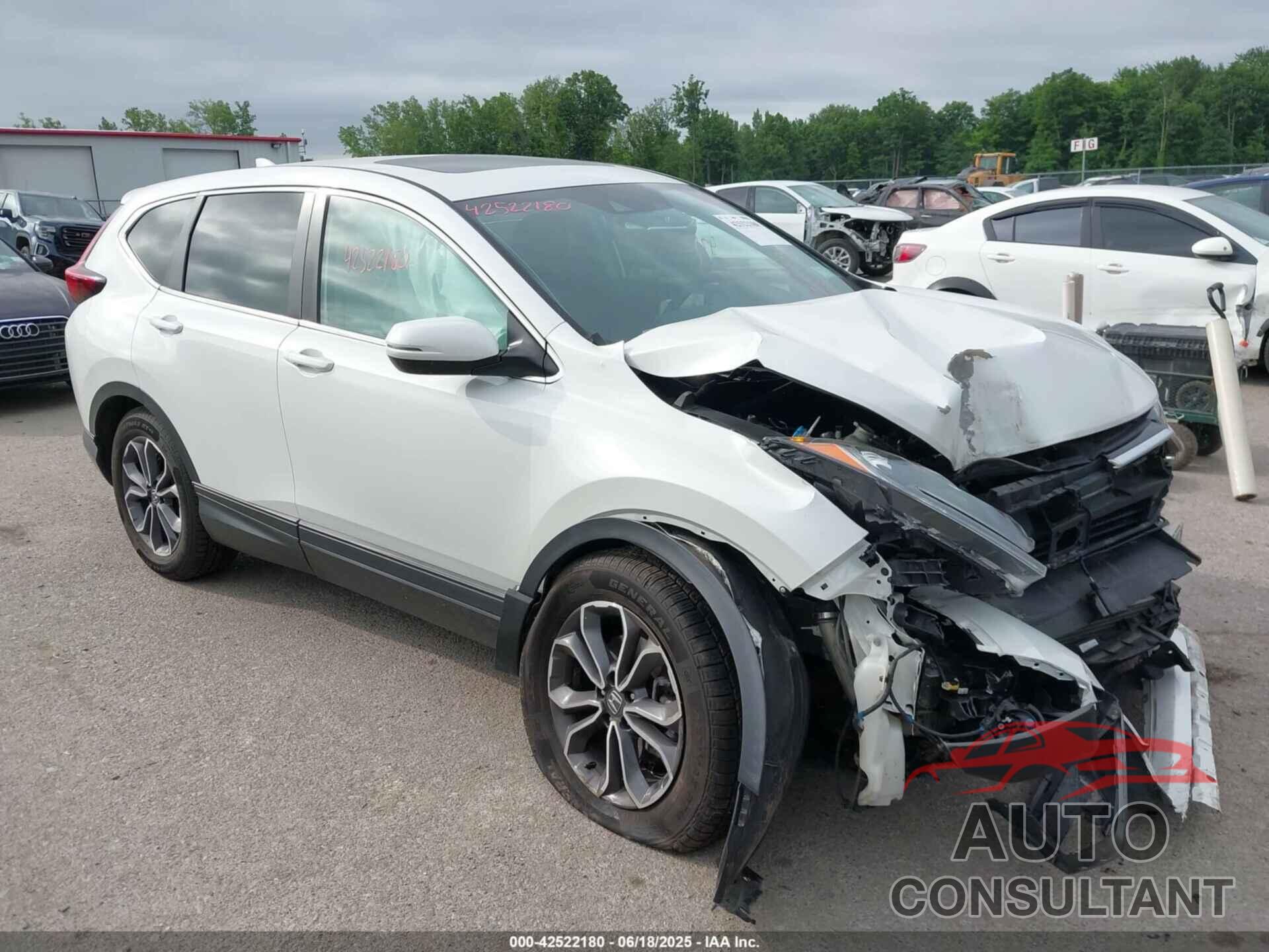 HONDA CR-V 2020 - 2HKRW2H53LH600486