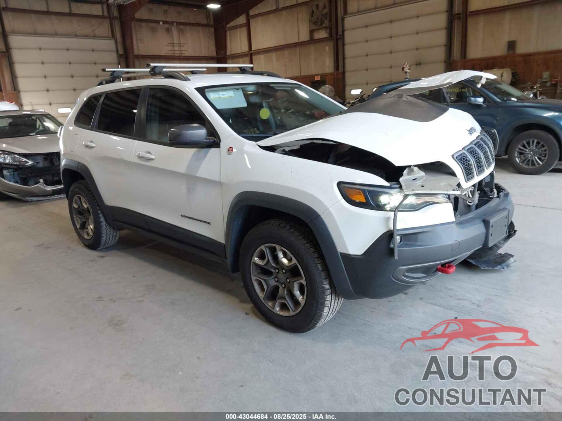 JEEP CHEROKEE 2019 - 1C4PJMBX6KD478495