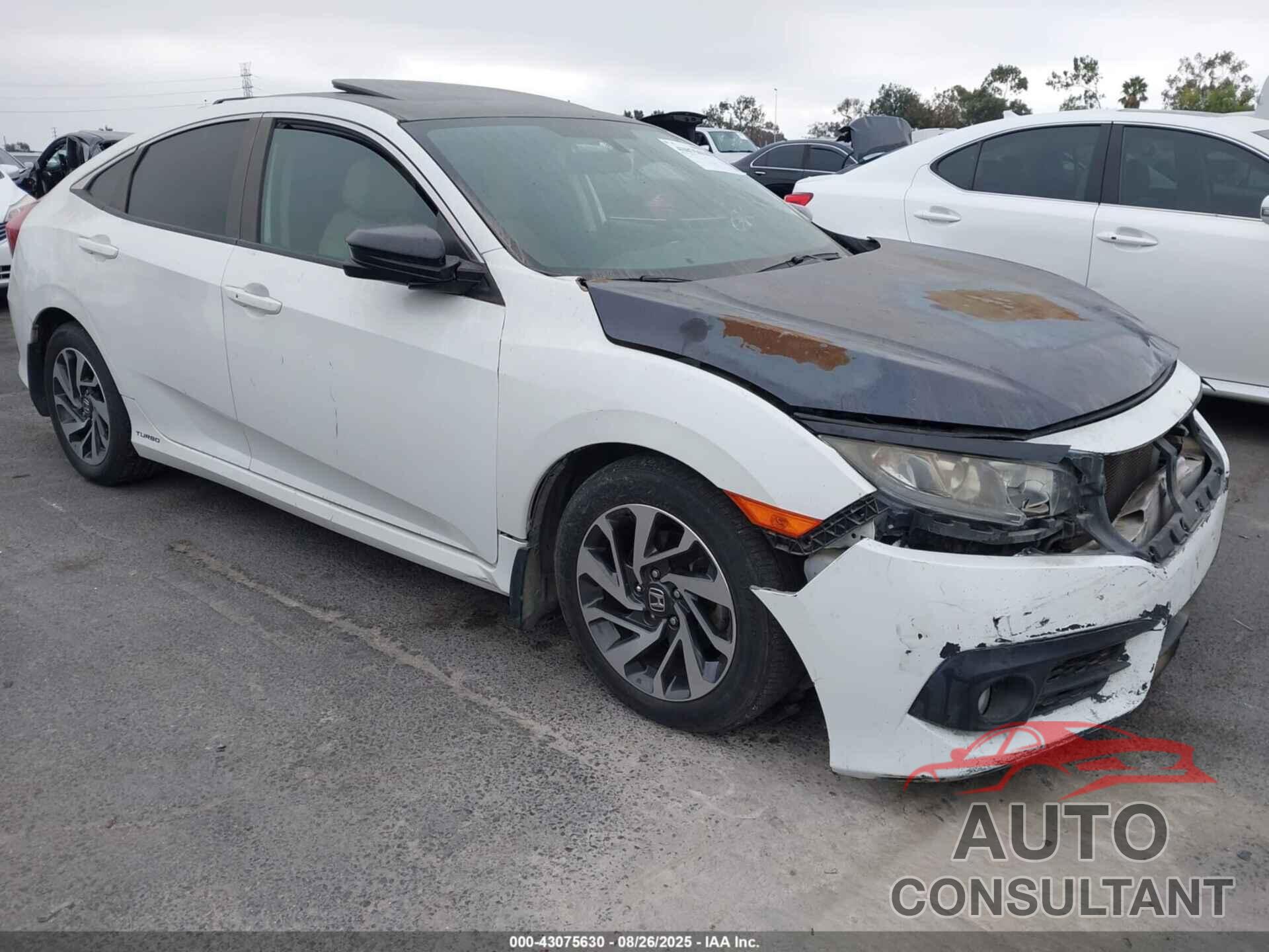 HONDA CIVIC 2016 - 2HGFC1F35GH653701