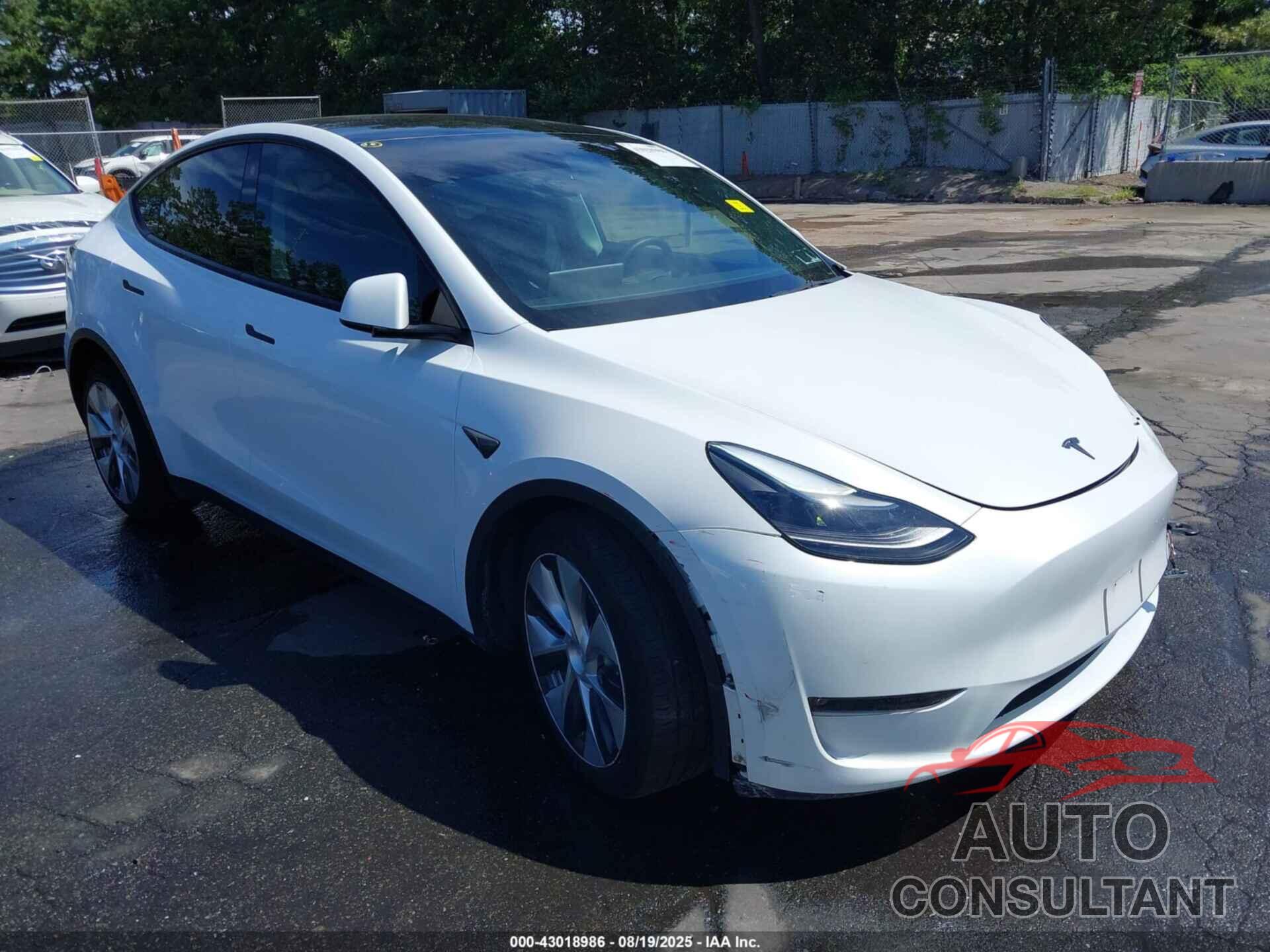 TESLA MODEL Y 2023 - 7SAYGAEE5PF686544