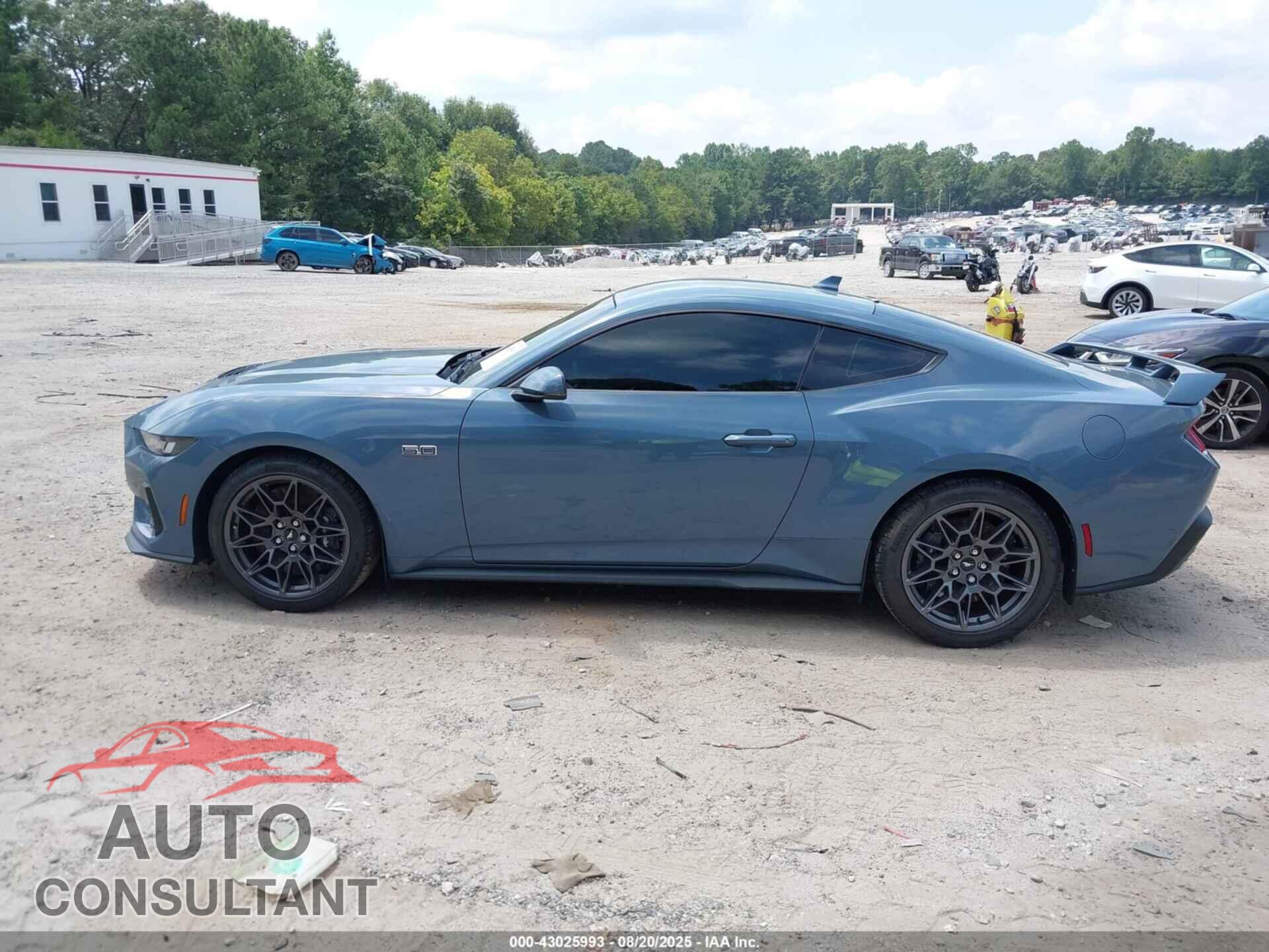 FORD MUSTANG 2024 - 1FA6P8CF9R5404375