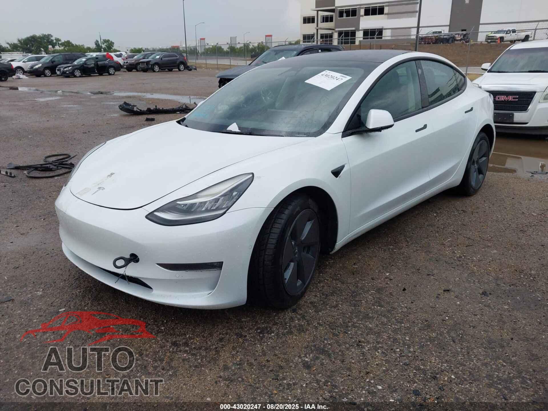 TESLA MODEL 3 2022 - 5YJ3E1EB3NF261016