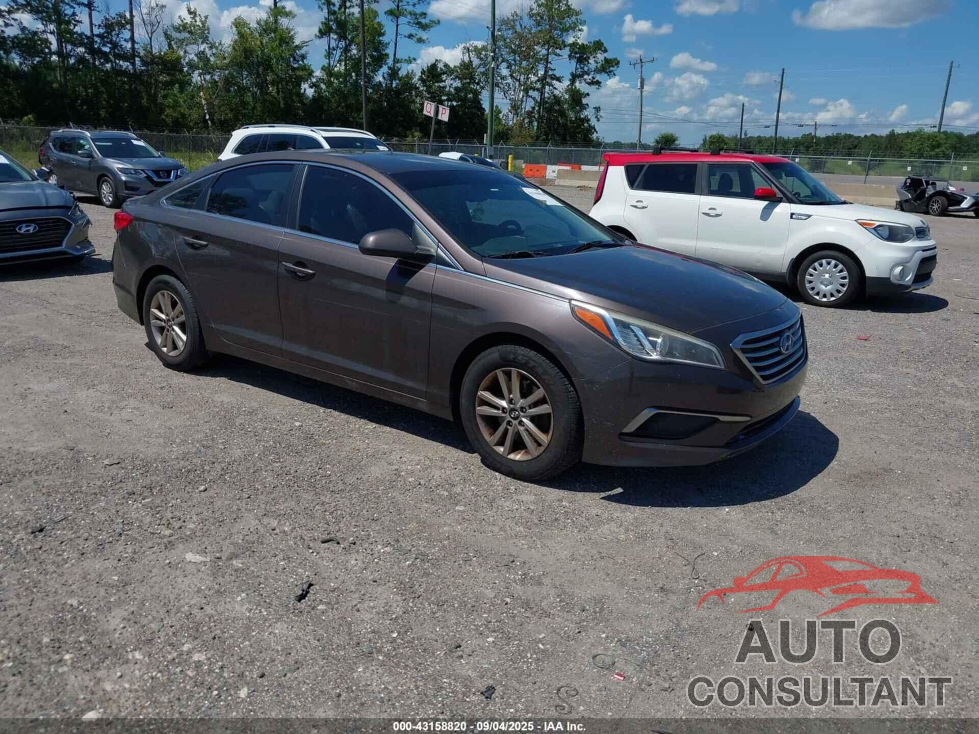 HYUNDAI SONATA 2016 - 5NPE24AF2GH353539