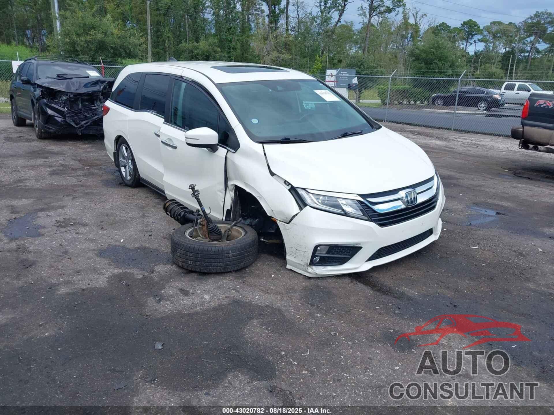 HONDA ODYSSEY 2019 - 5FNRL6H76KB025167