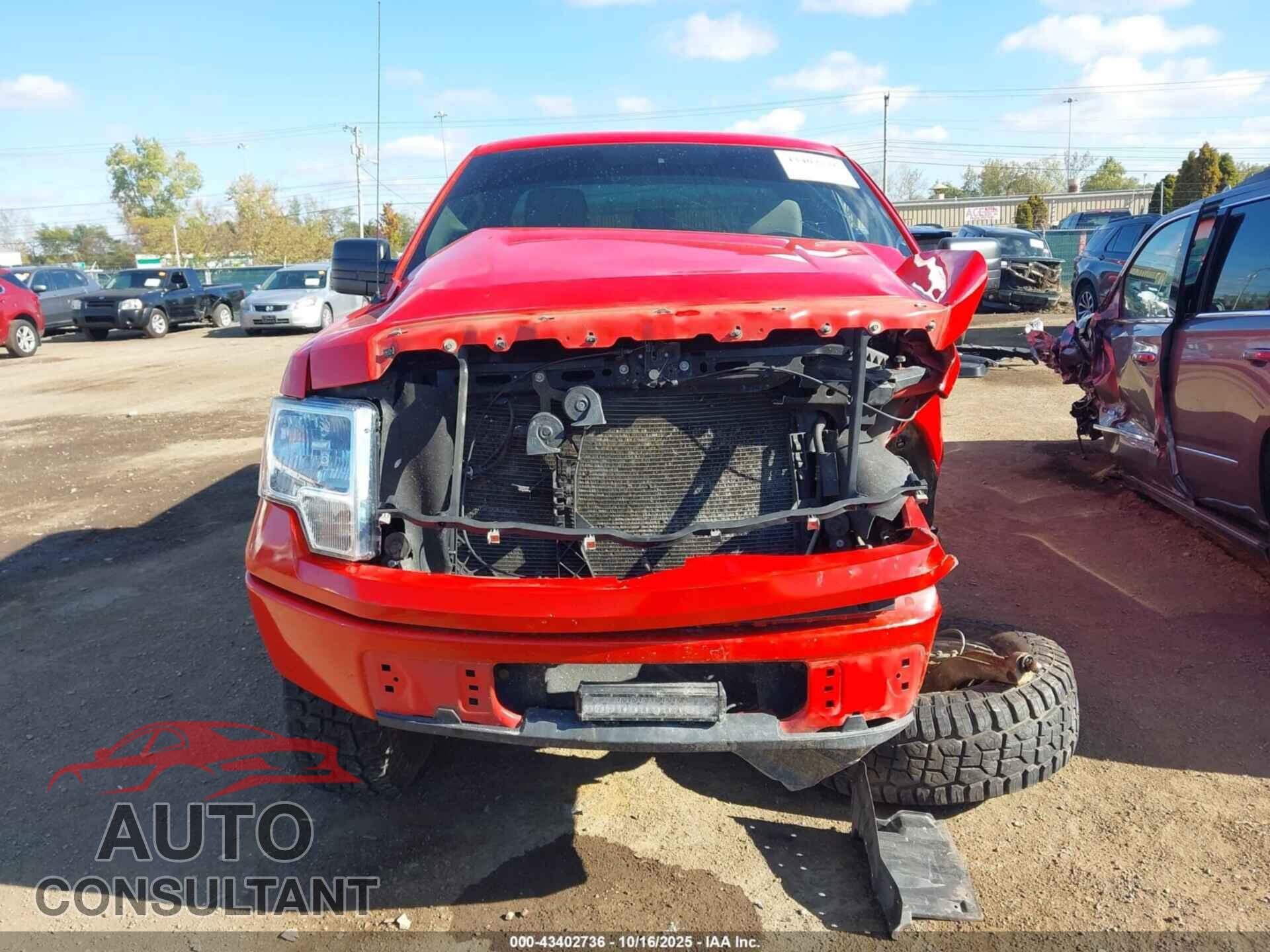 FORD F-150 2011 - 1FTMF1CM7BFD25538