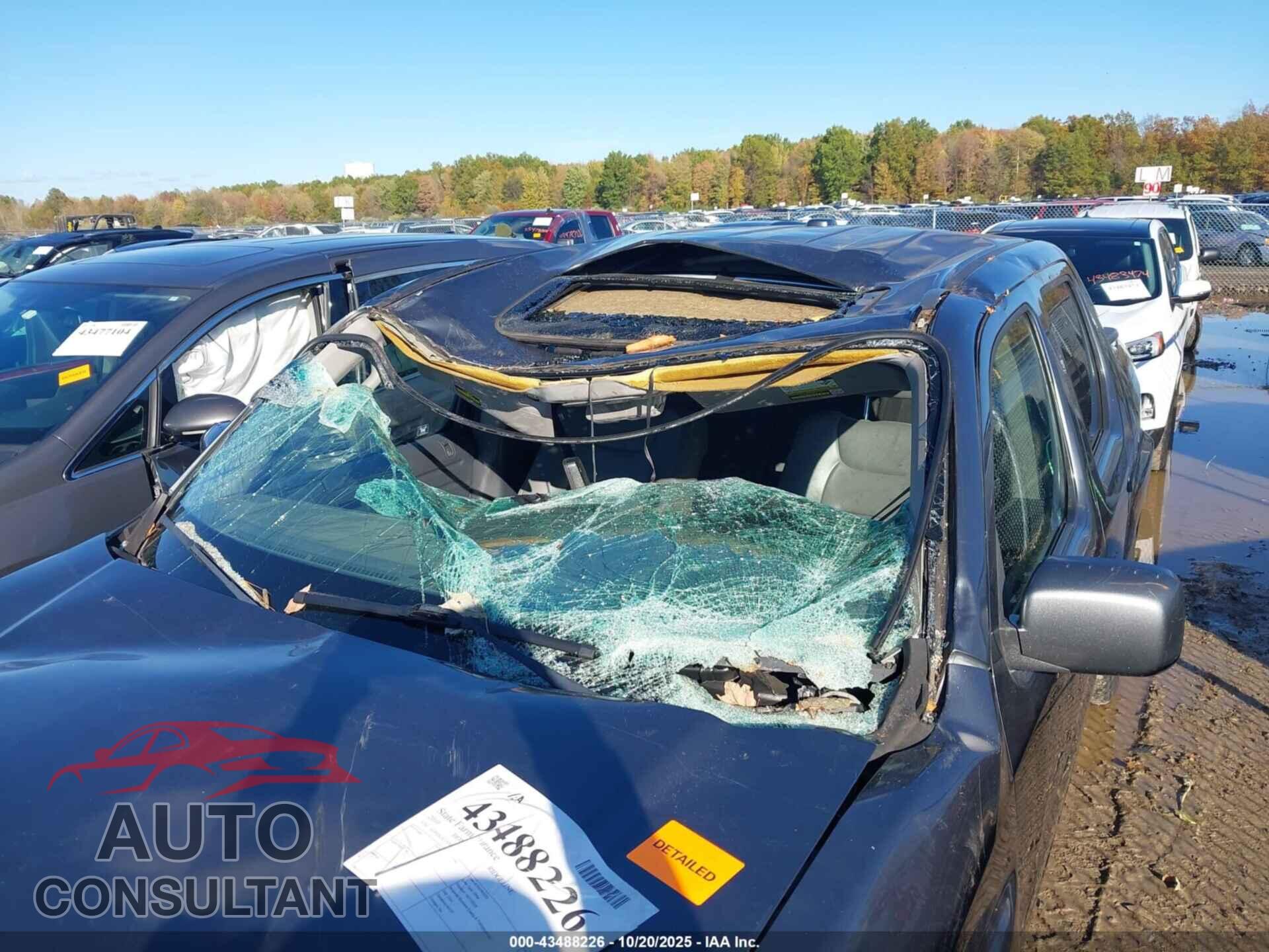 HONDA RIDGELINE 2010 - 5FPYK1F55AB007509